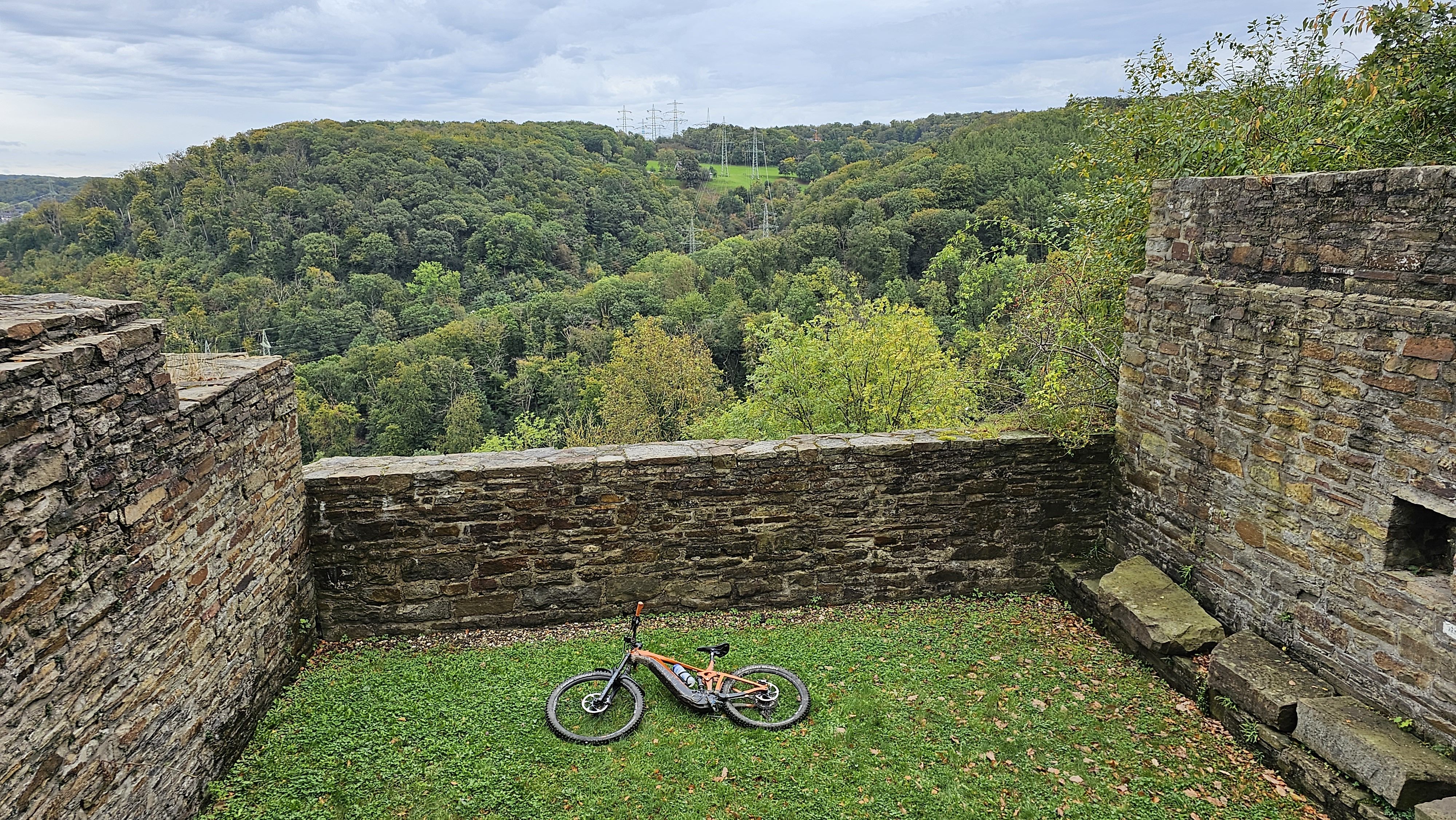 20231019_145245.jpg