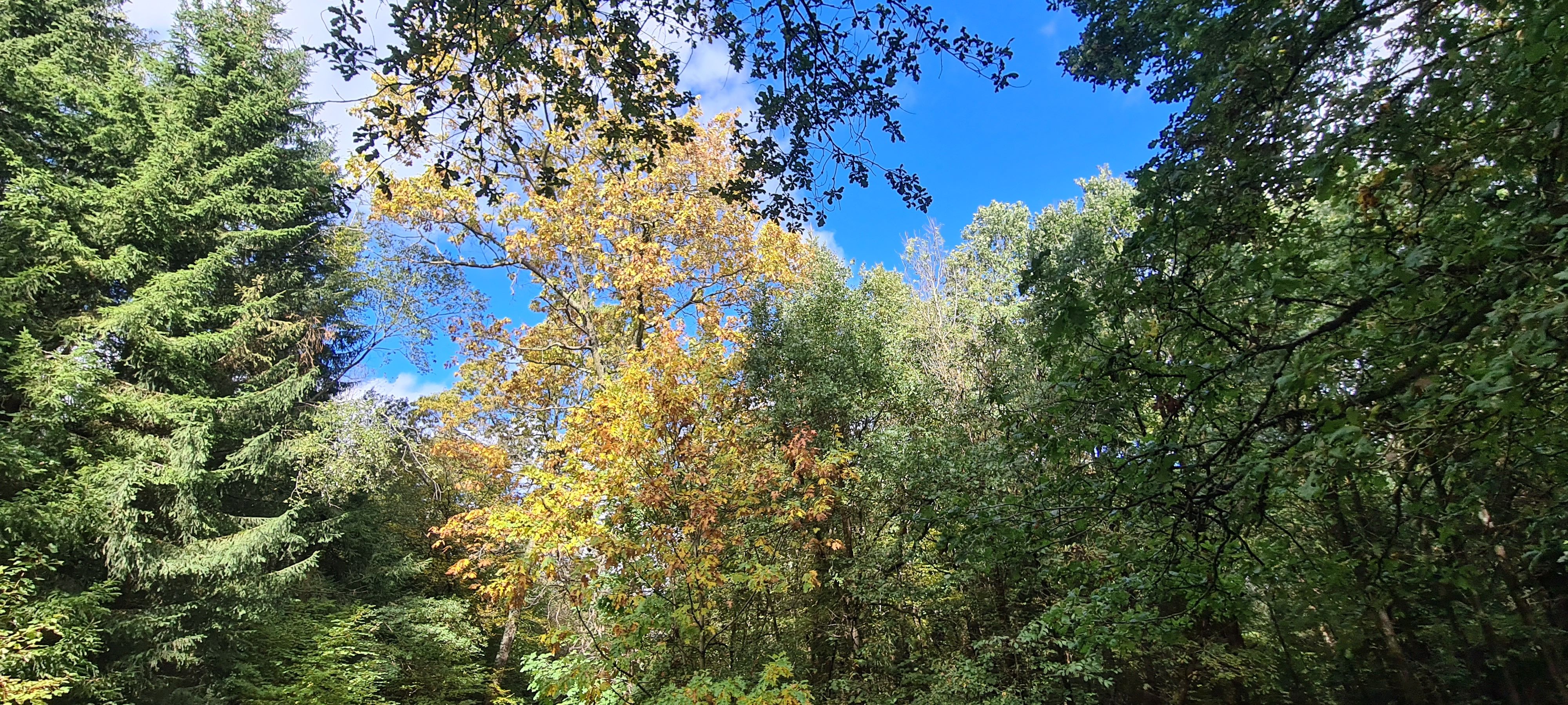 20231021_131505.jpg