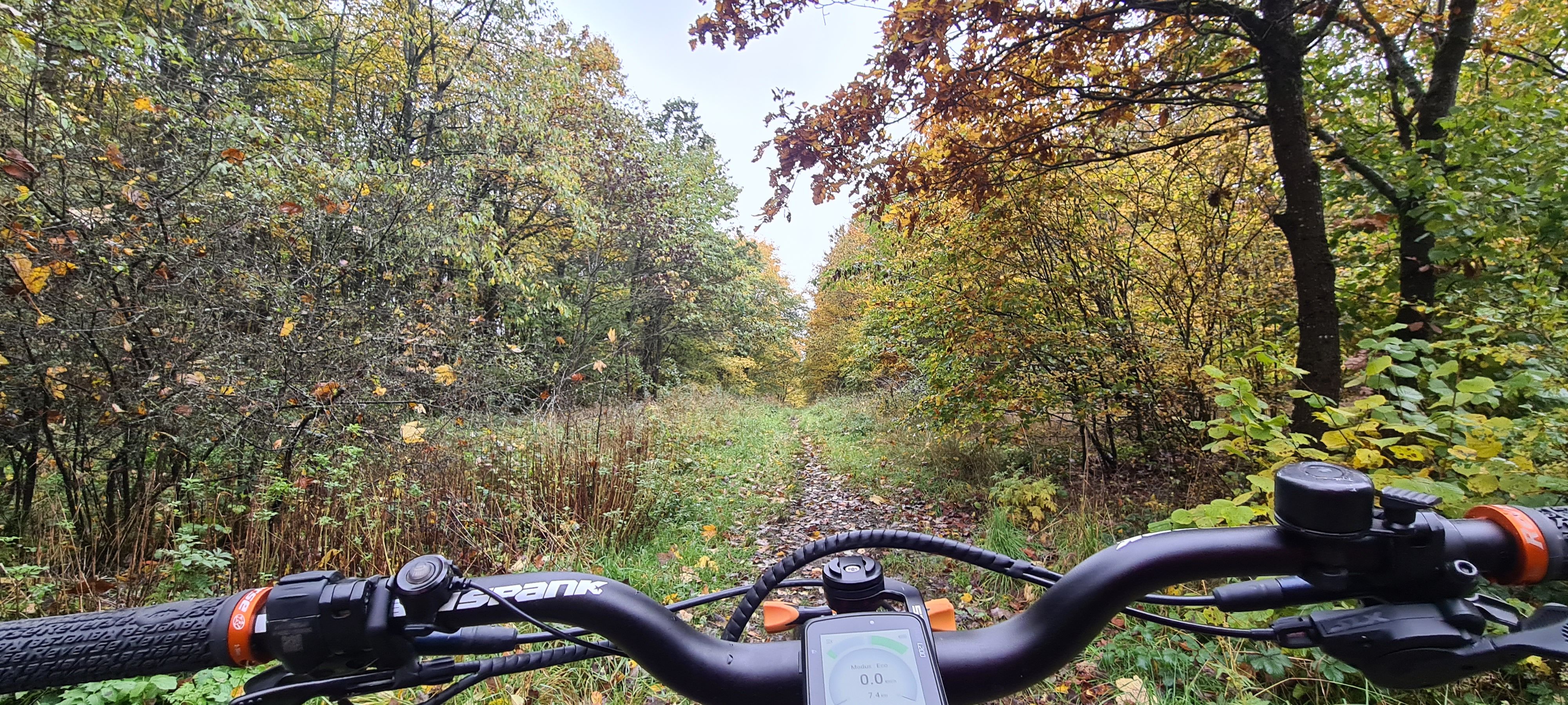 20231101_120540.jpg