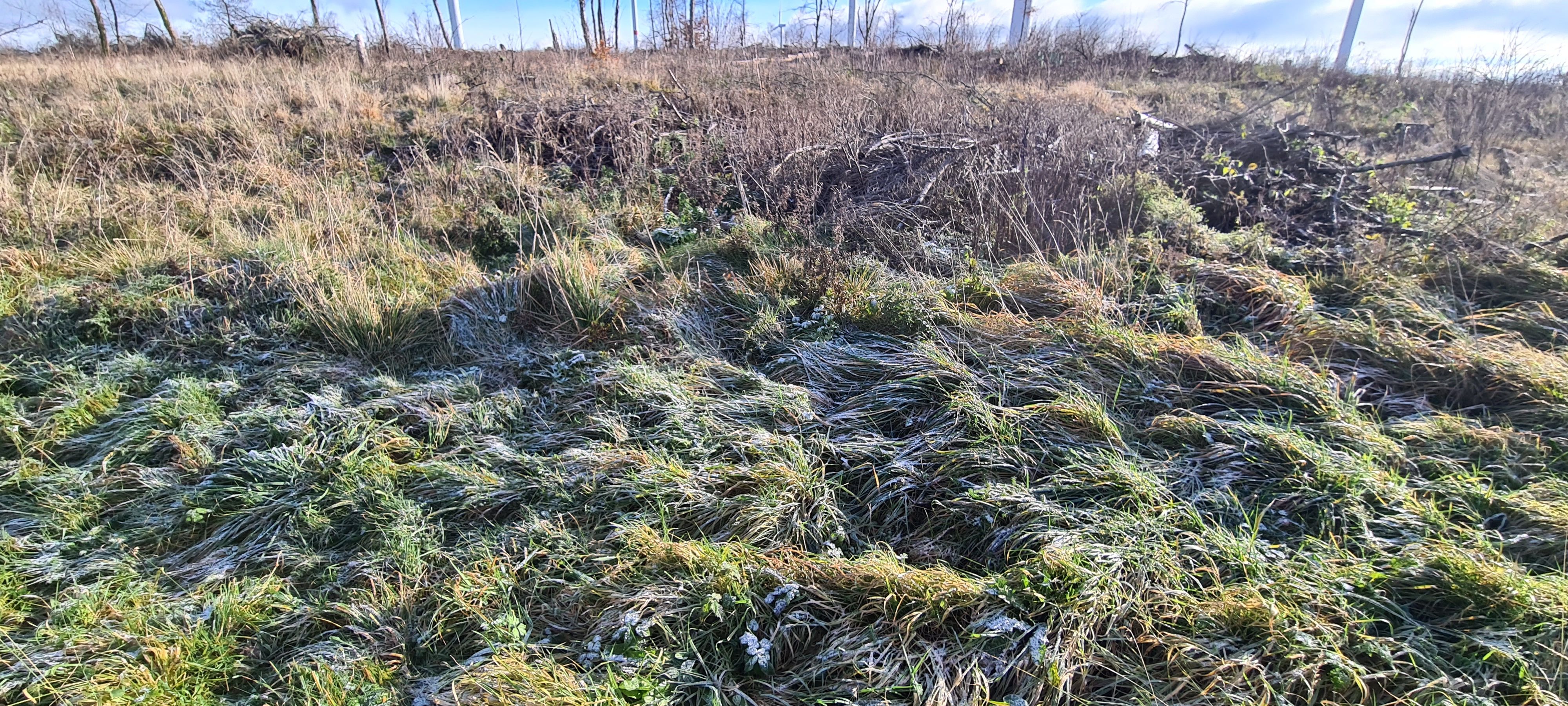 20231122_110501.jpg