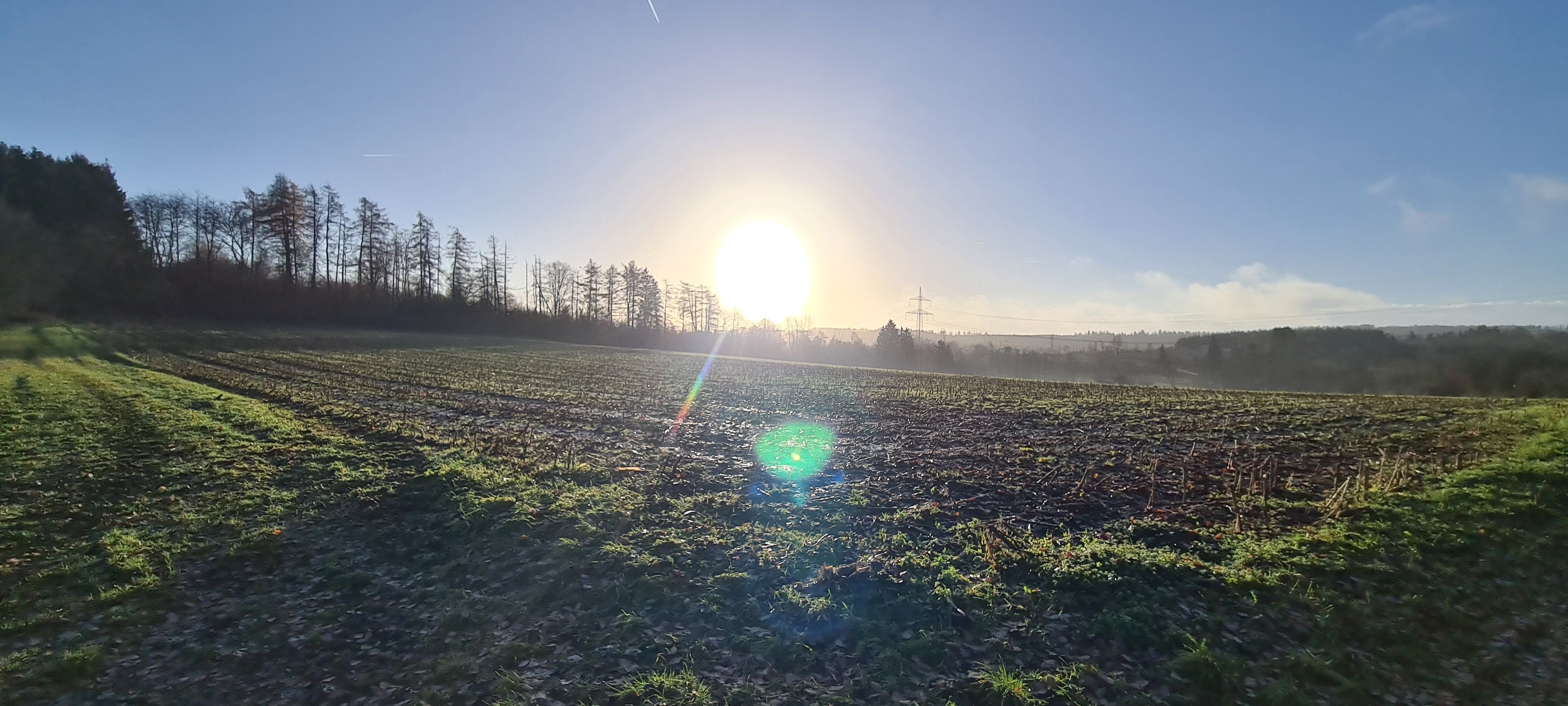 20231212_094129.jpg