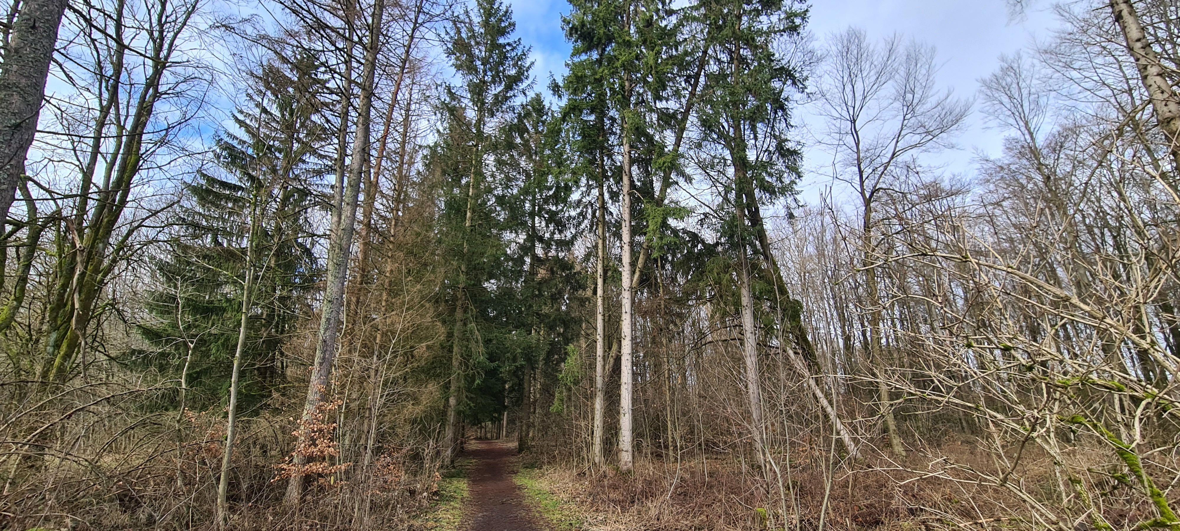 20240212_145421.jpg