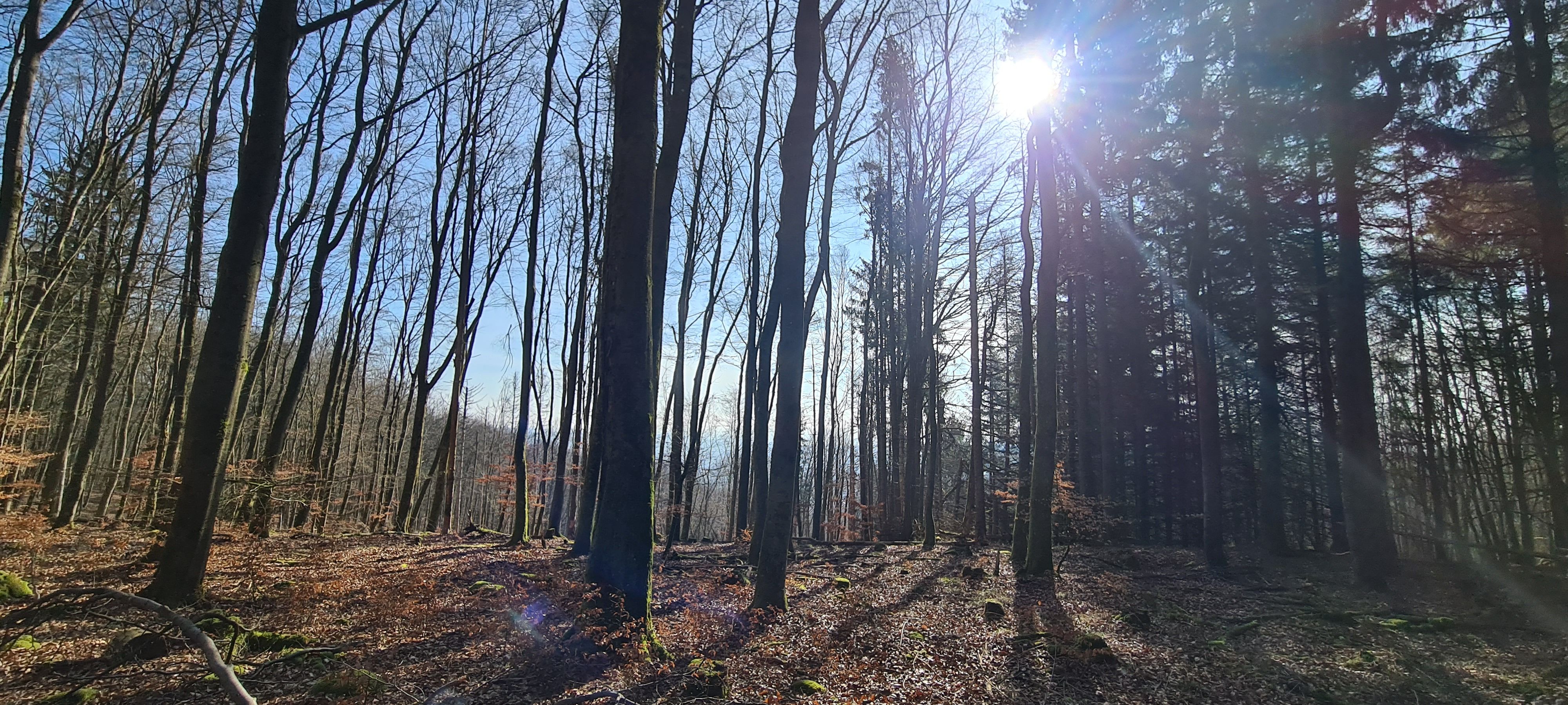 20240303_104056.jpg