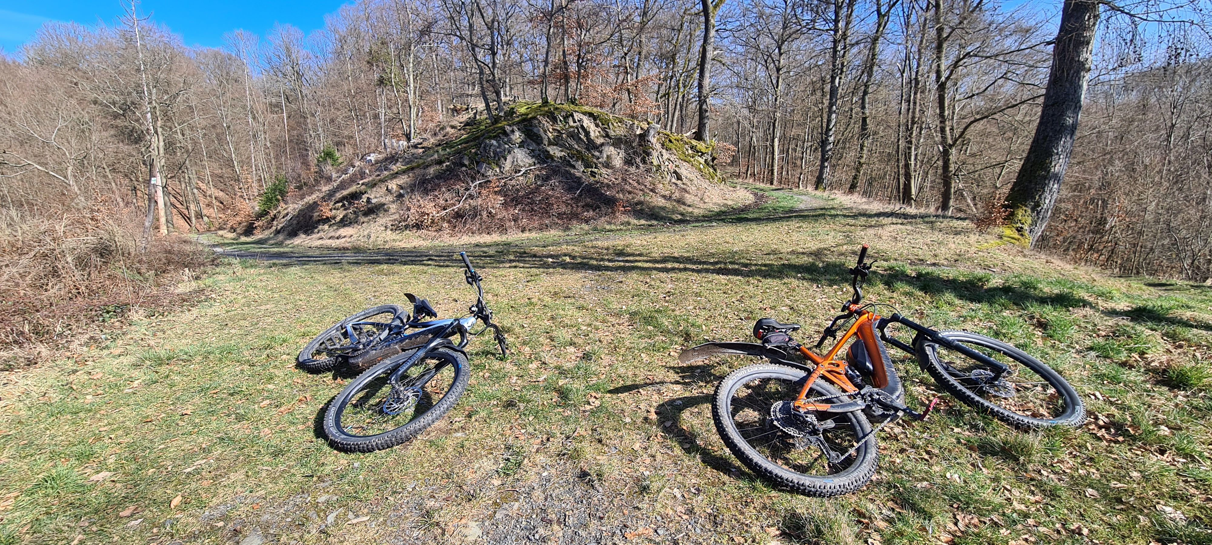 20240303_120105.jpg