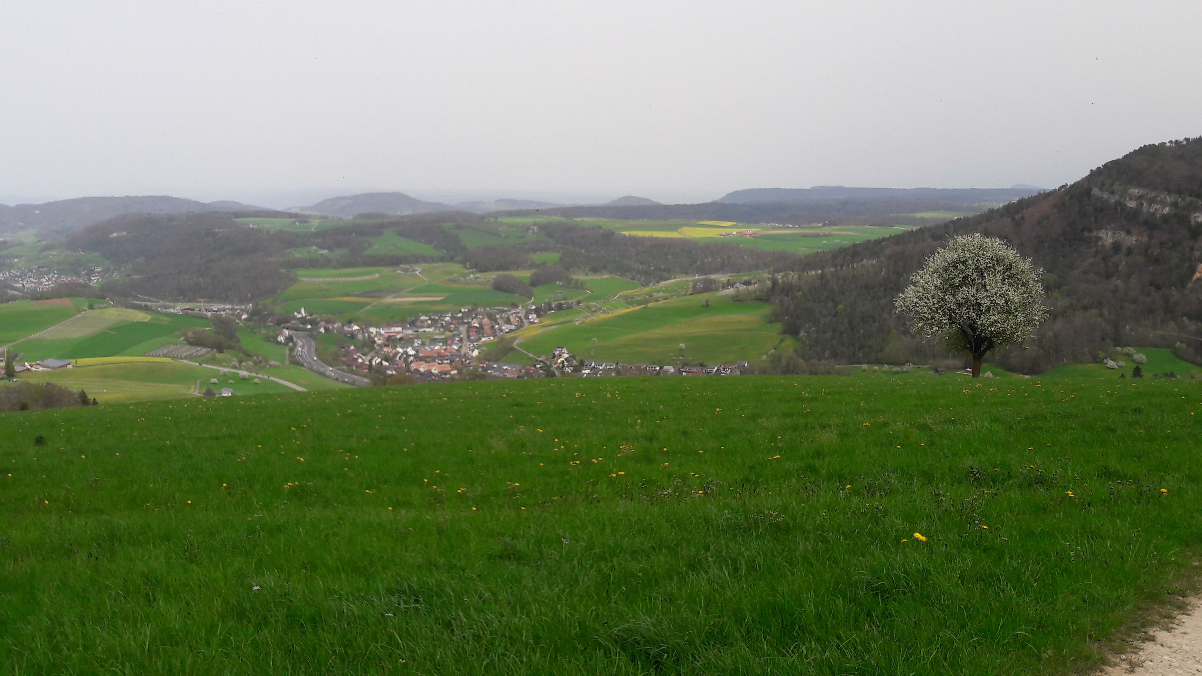 20240408_140143.jpg
