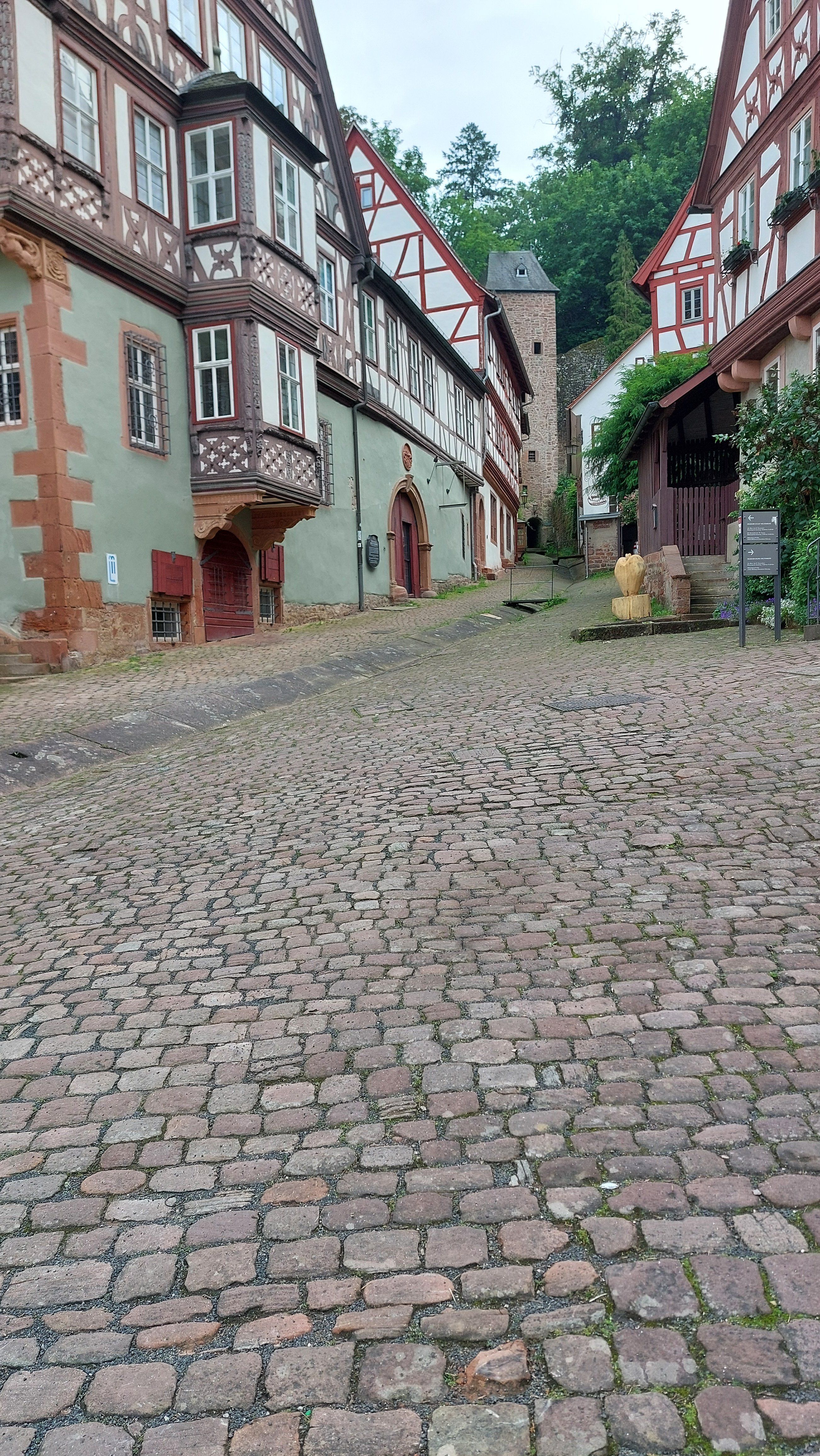 20240605_182139.jpg