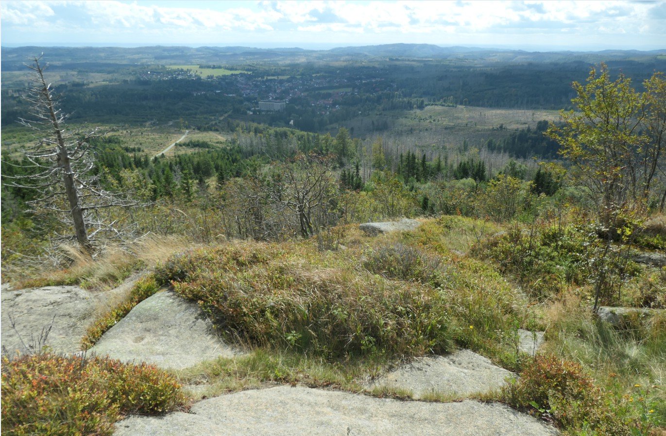 2025-09-15_220237.JPG