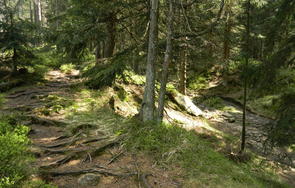 2025-10-18_194507.JPG