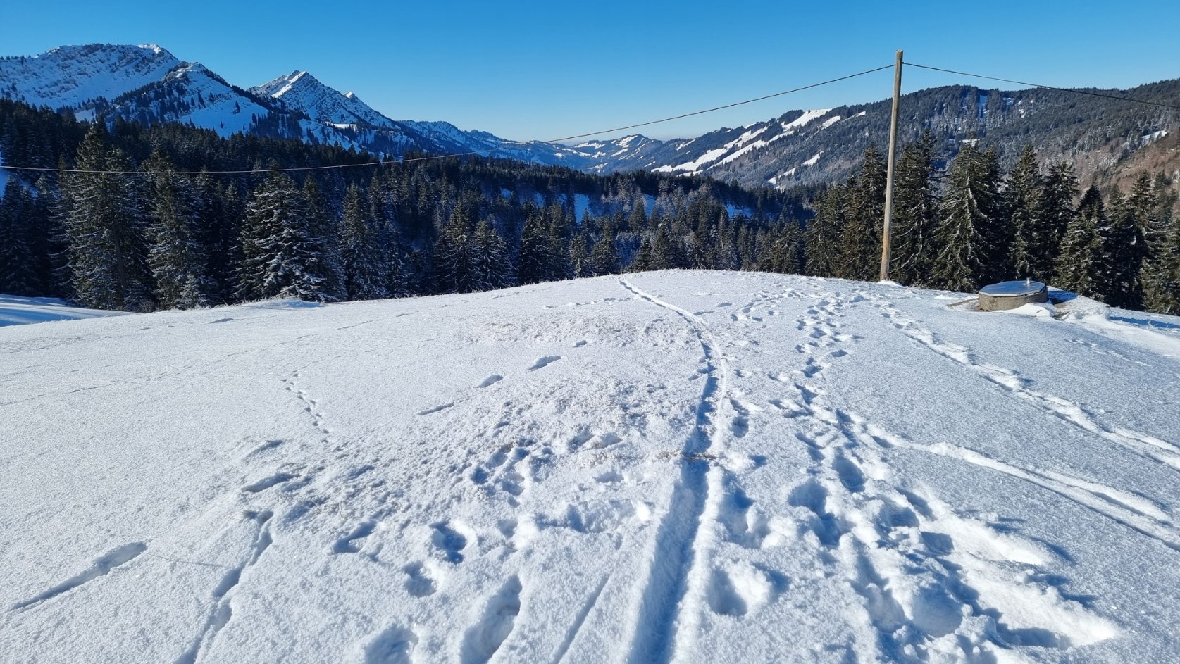 20250113_105443.jpg