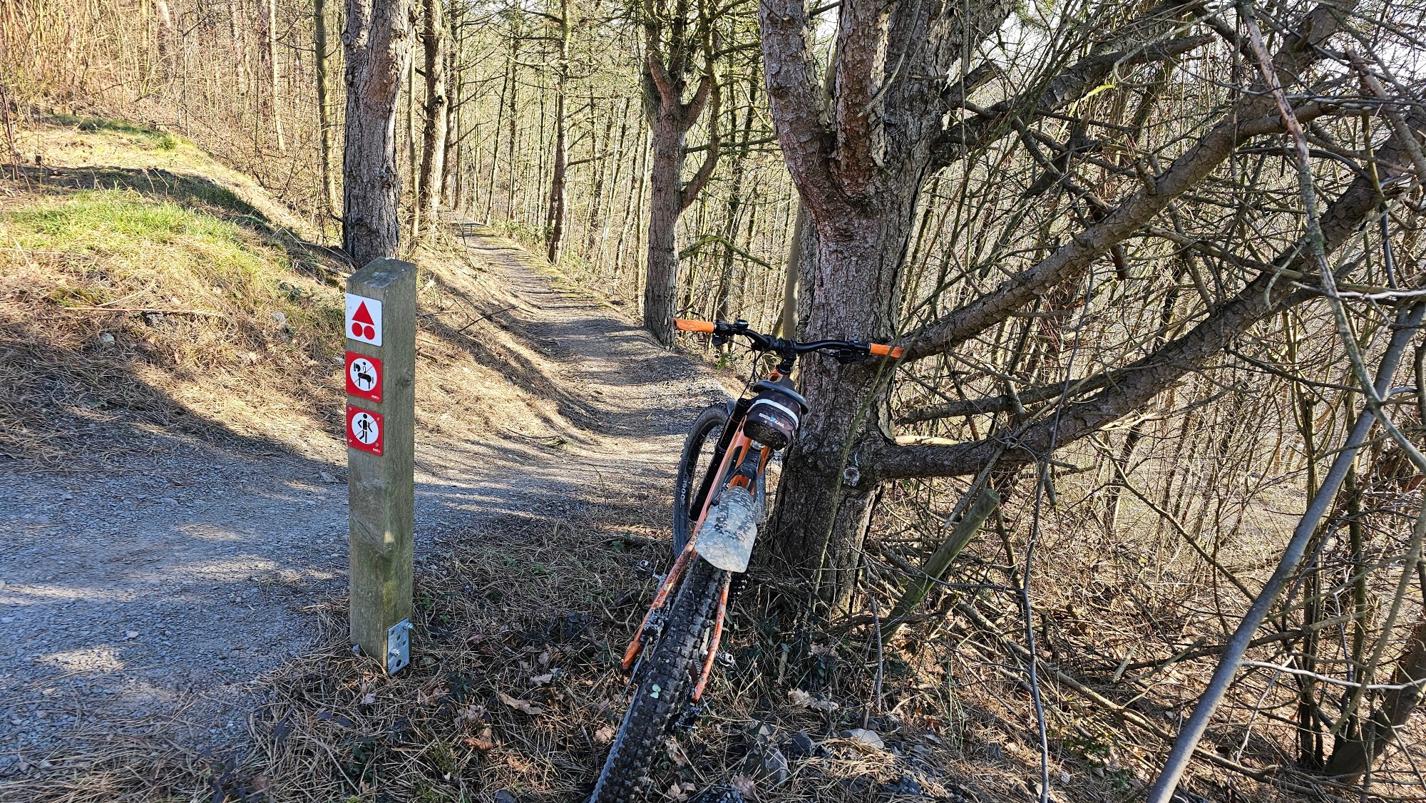 20250218_115335.jpg