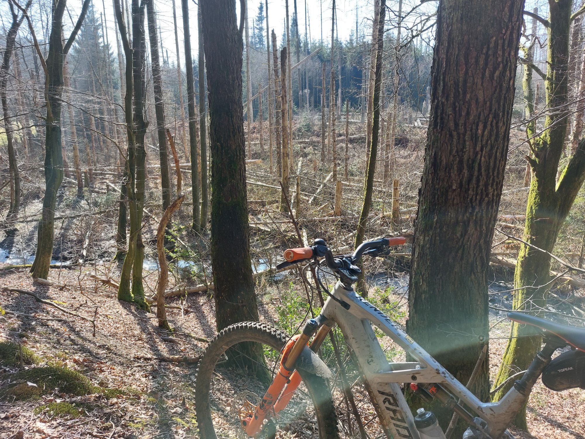 20250309_121705.jpg