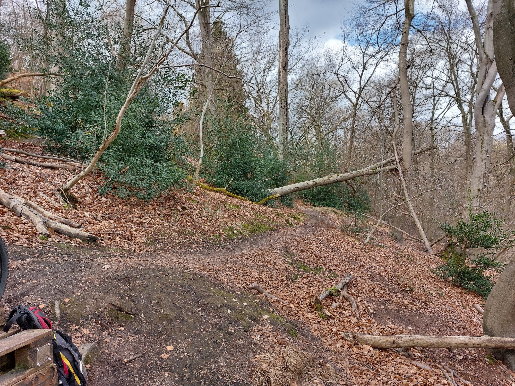 20250331_113347.jpg