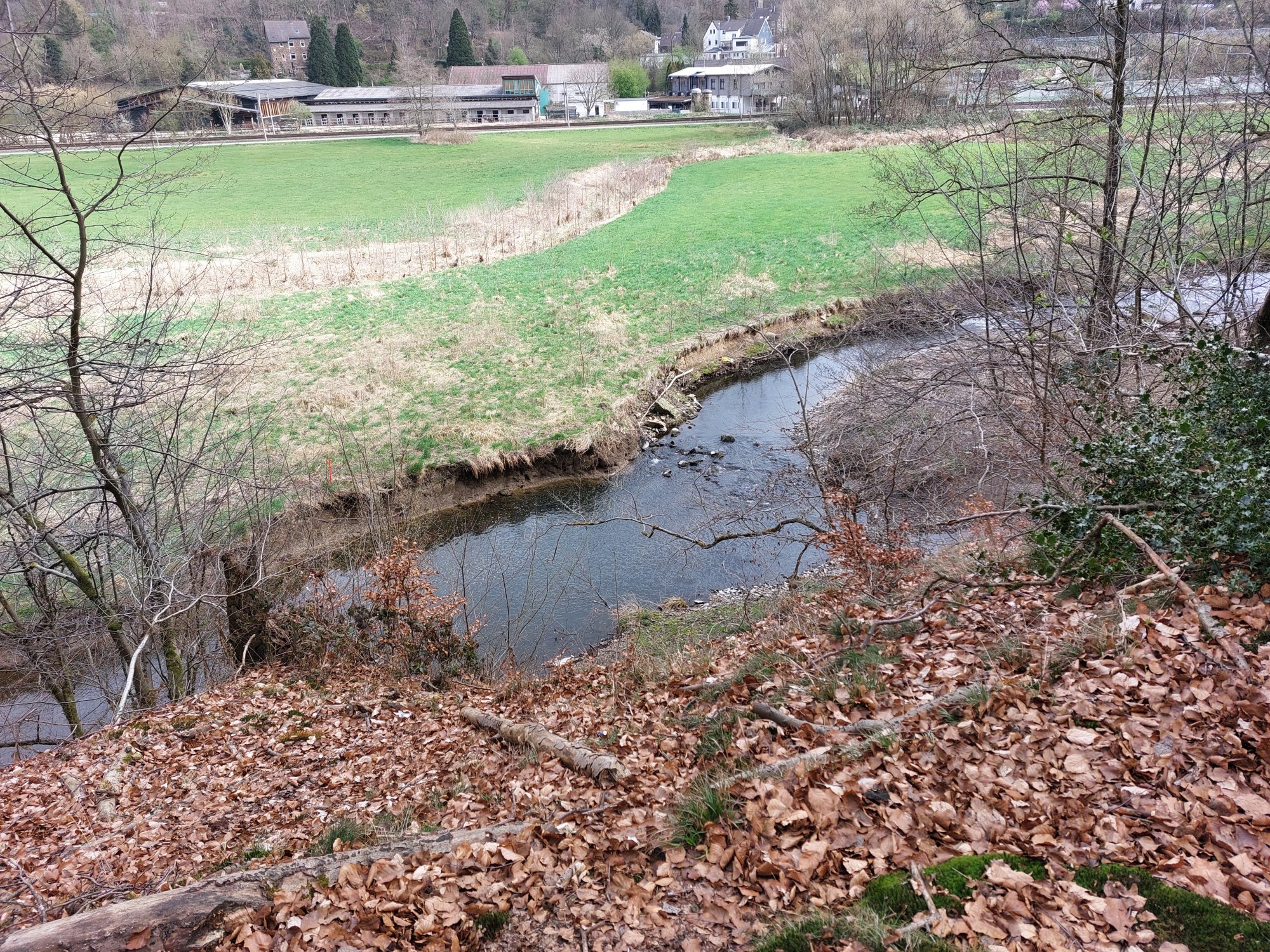 20250331_113401.jpg
