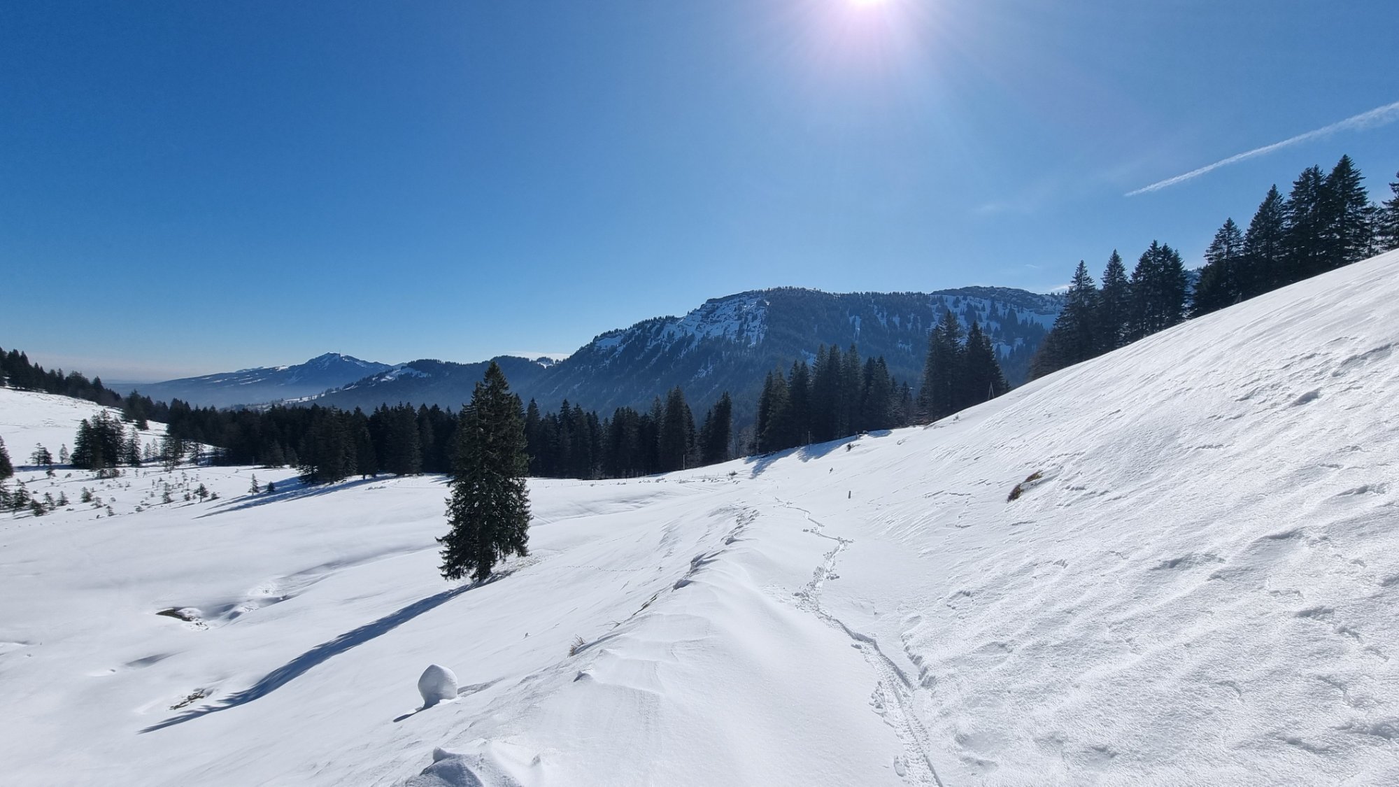 20250402_103747.jpg