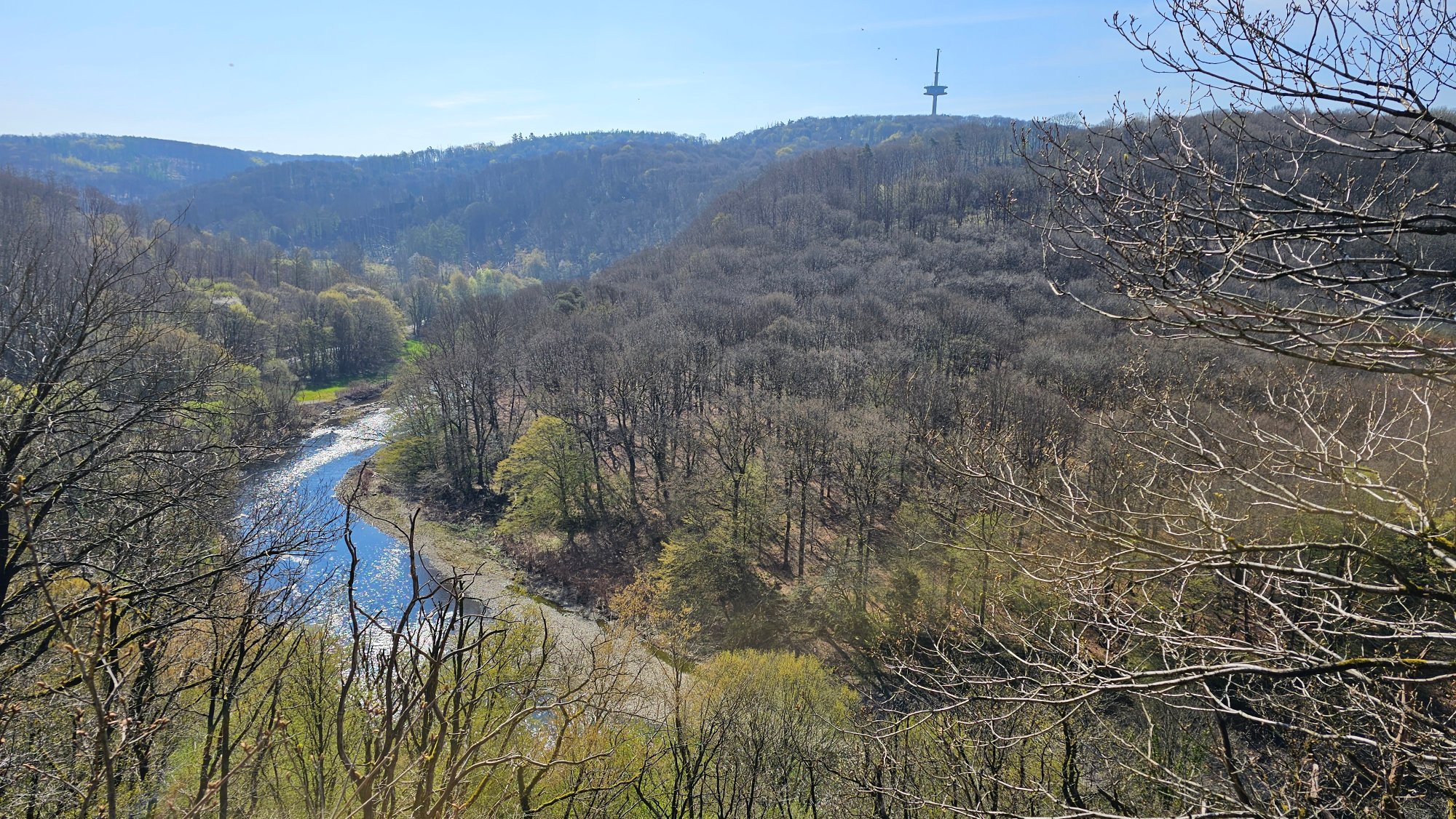 20250409_113941.jpg