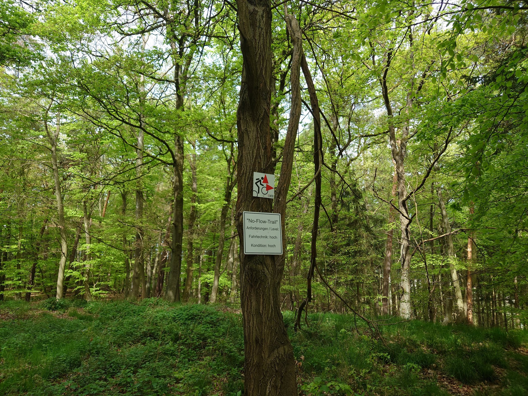 20250427_120402.JPG