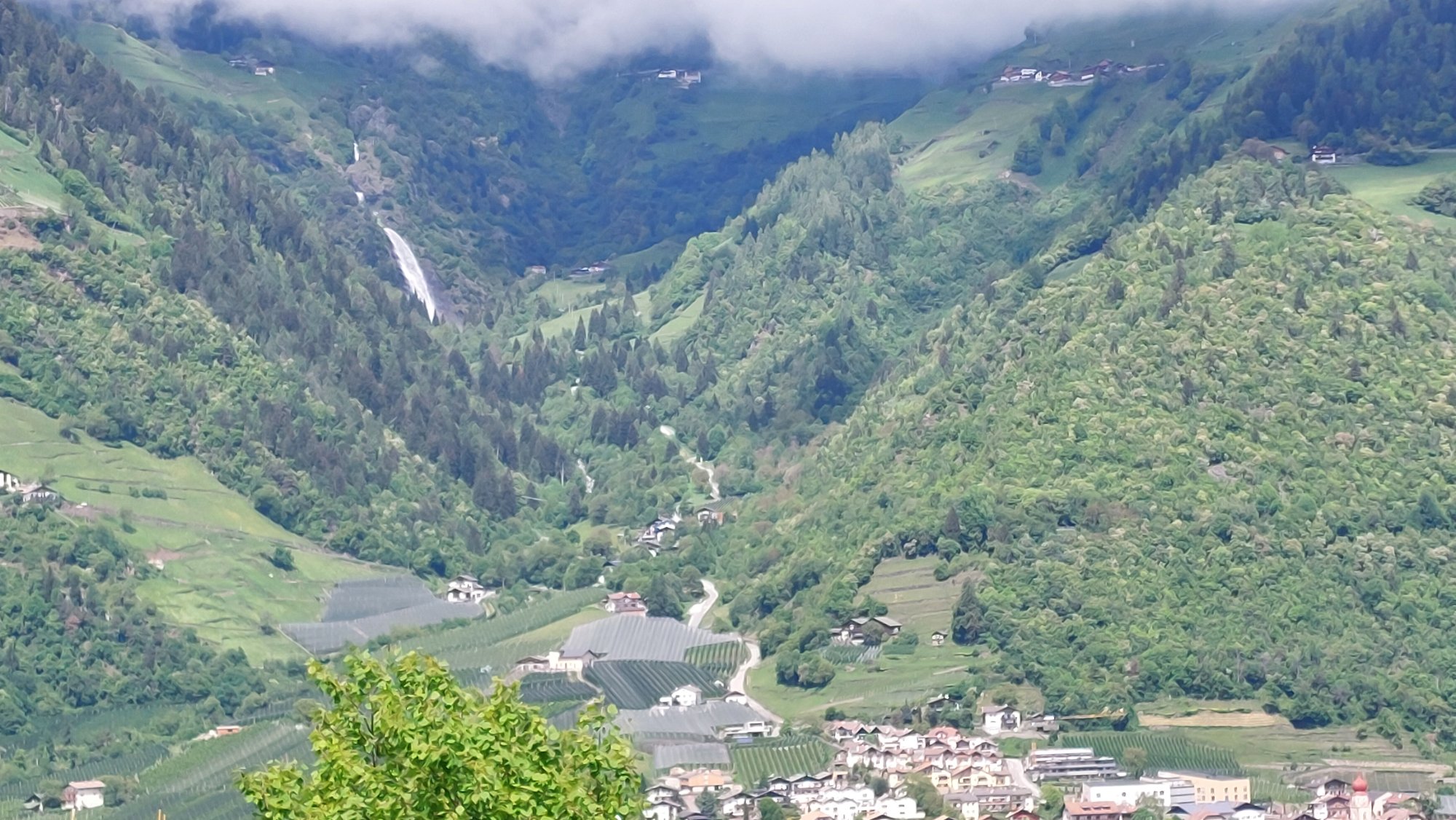 20250508_113756.jpg