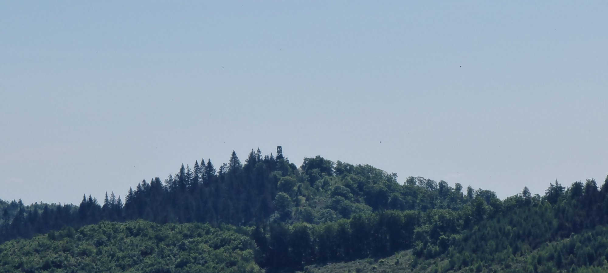 20250510_114652.jpg