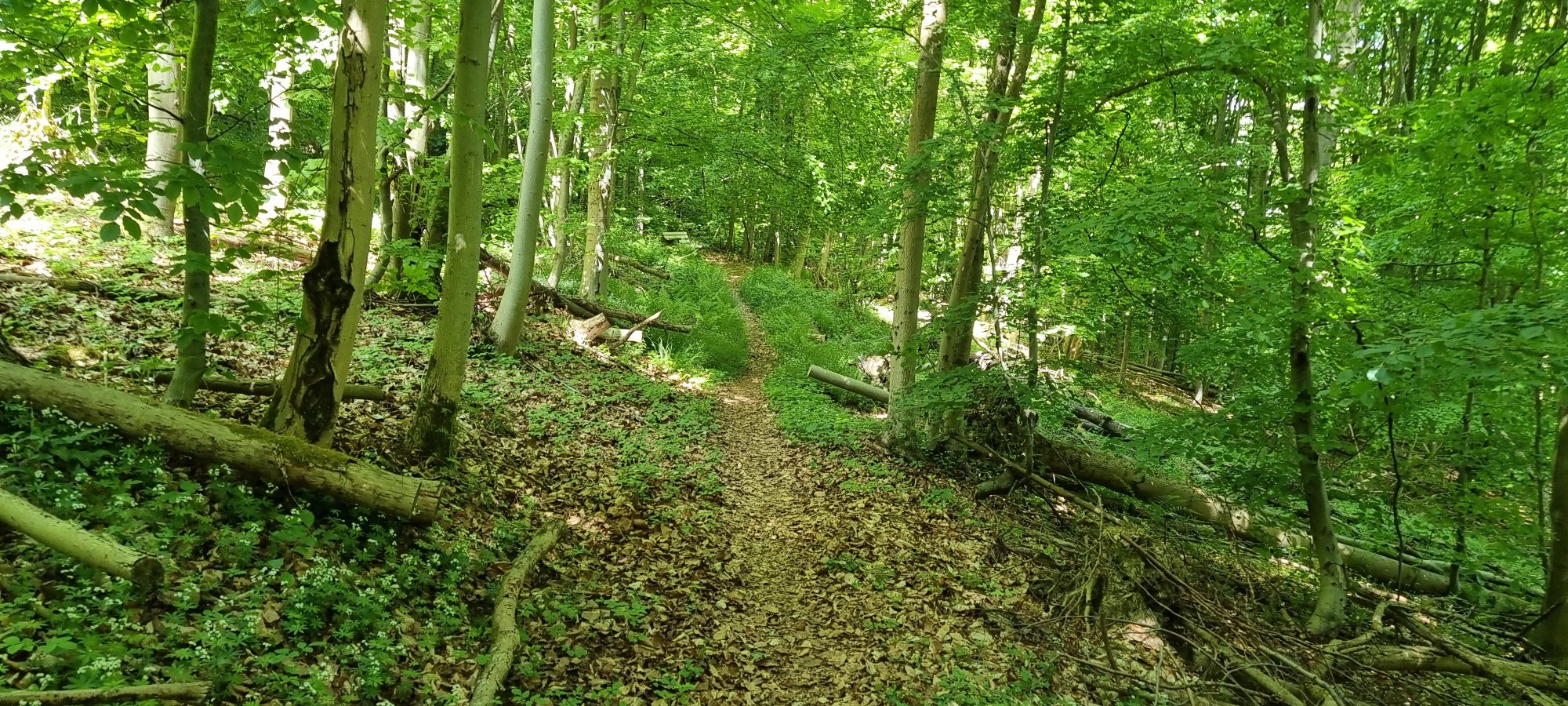 20250510_135958.jpg