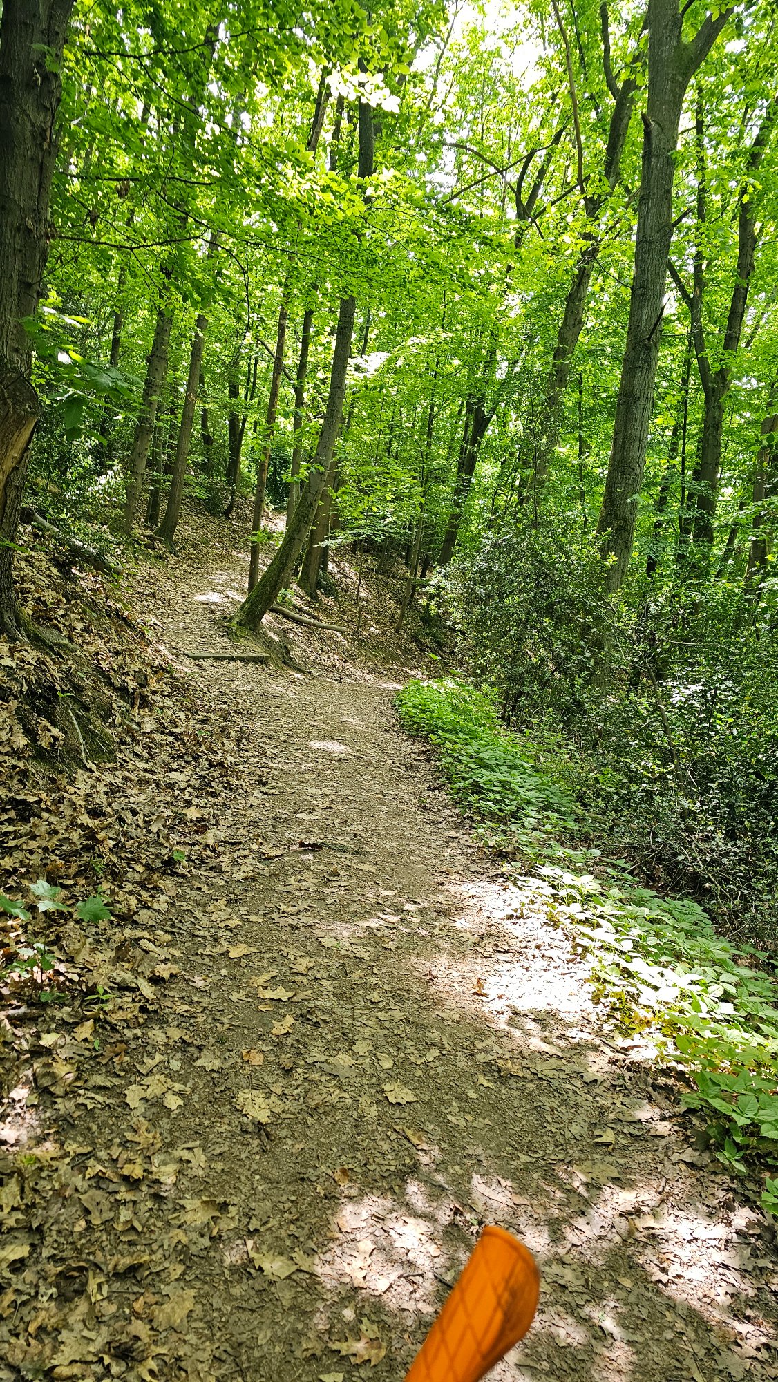 20250514_112610.jpg