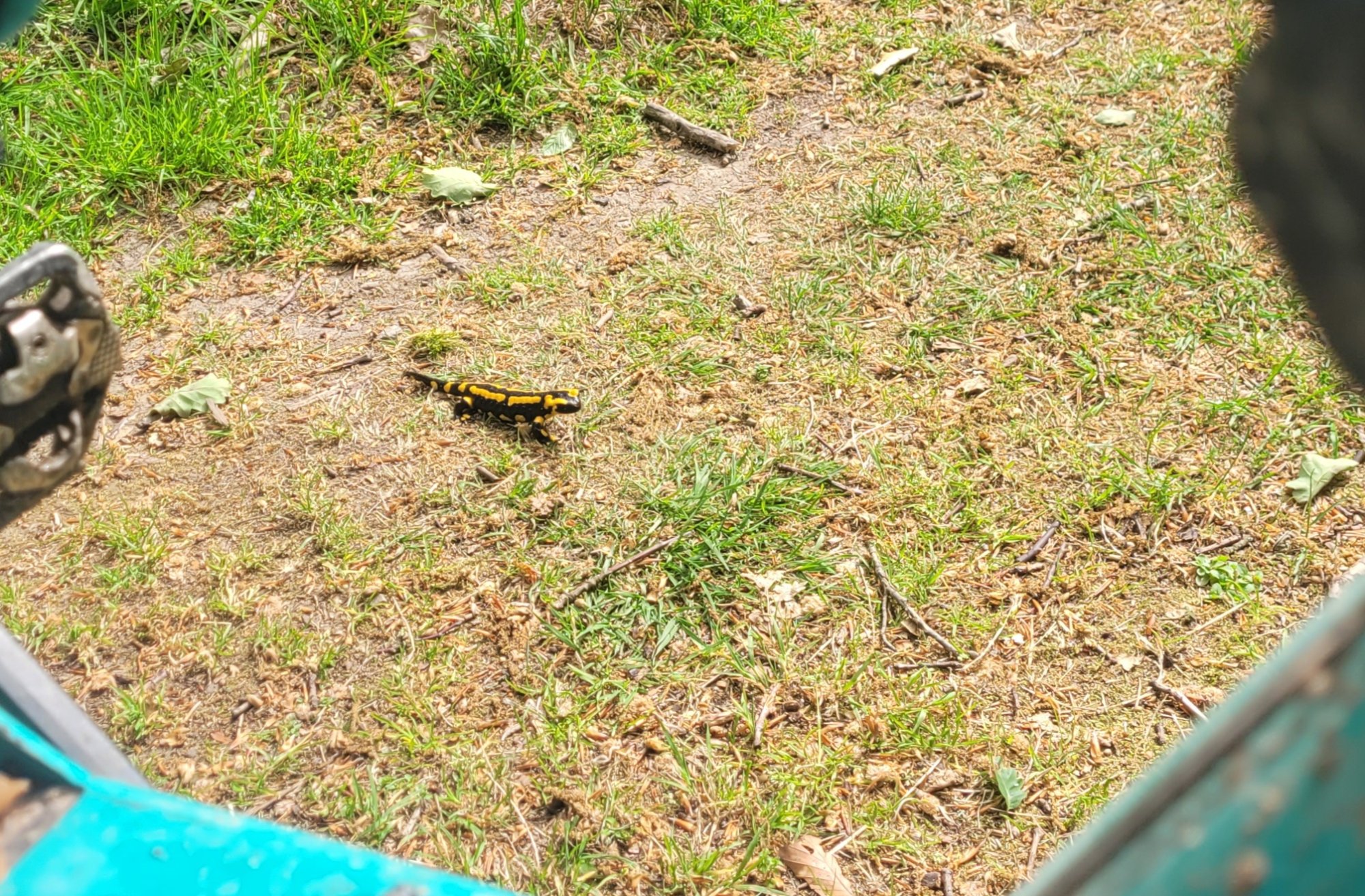 20250526_093009.jpg