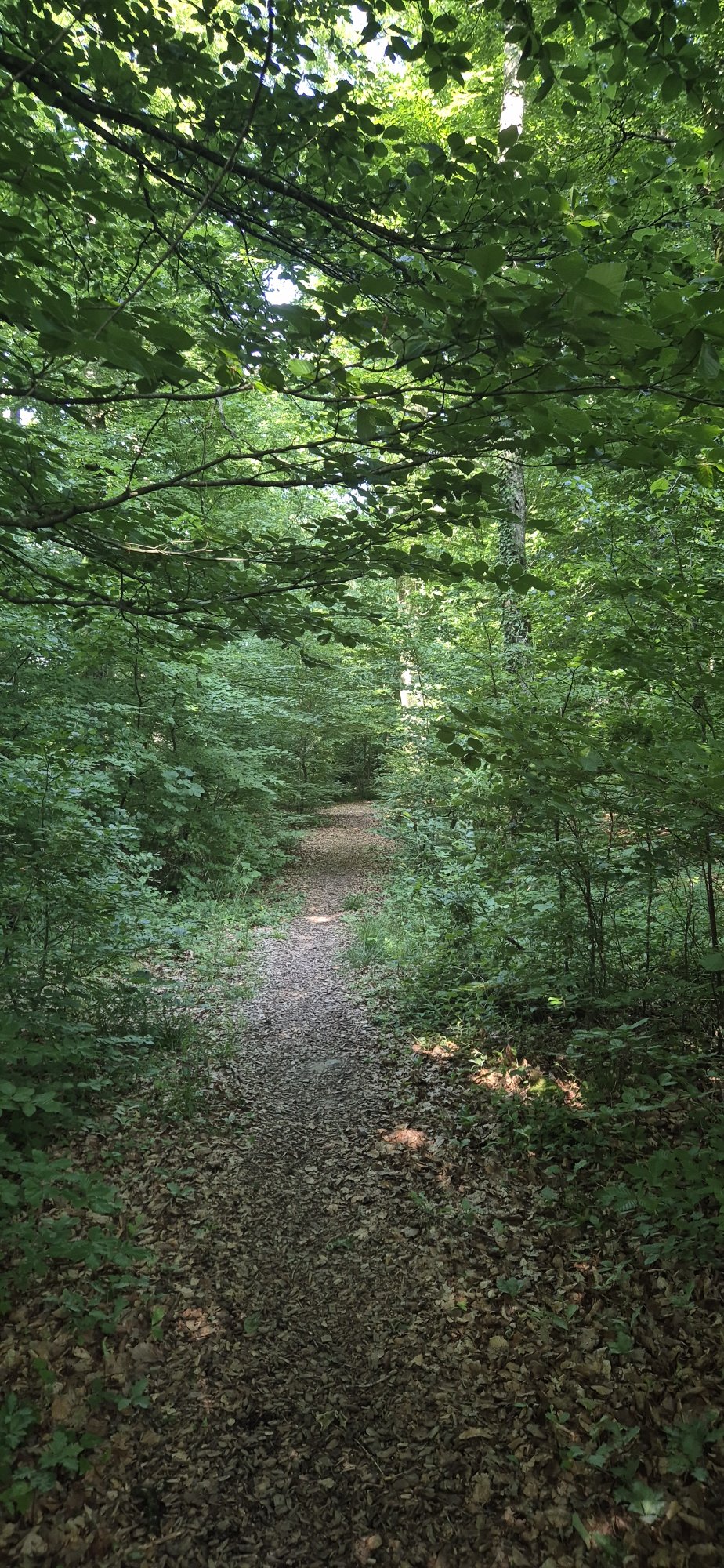 20250611_173720.jpg