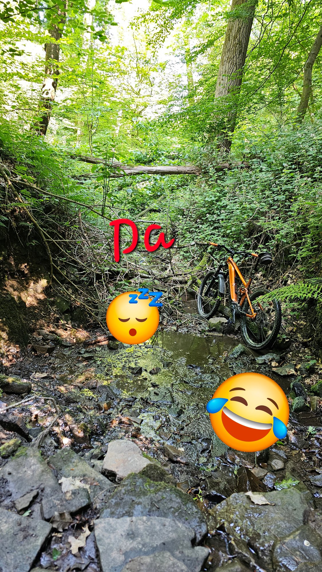 20250619_114323.jpg