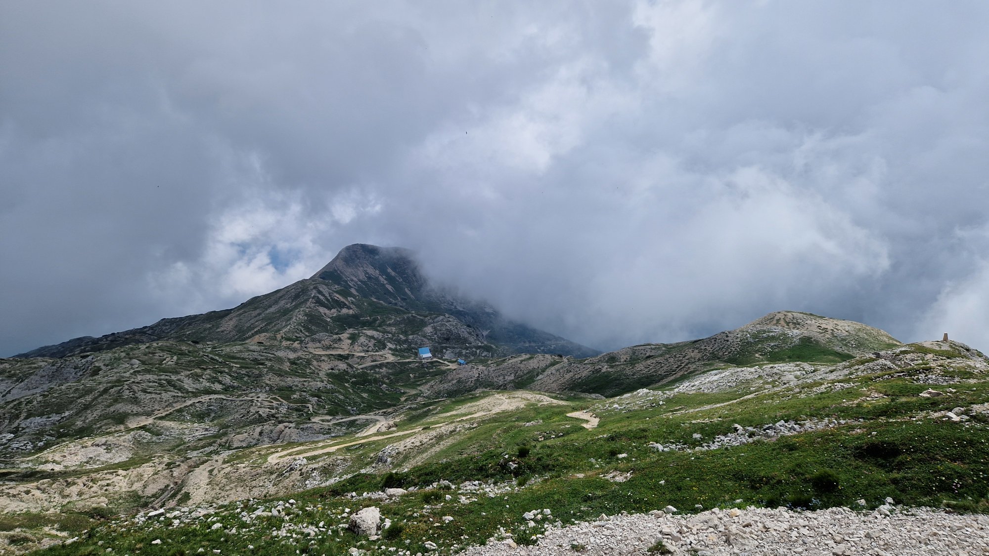 20250629_120157.jpg