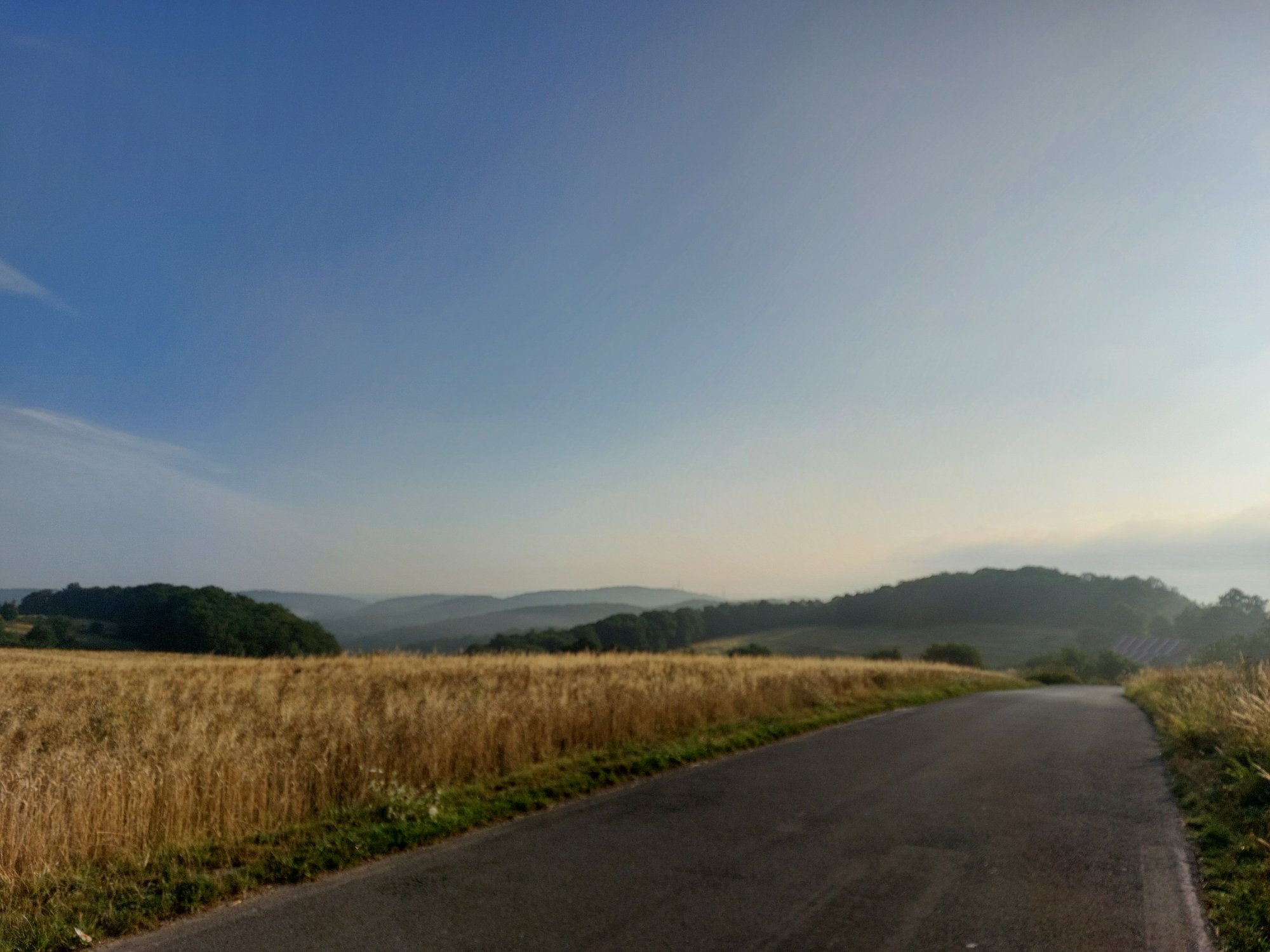 20250726_072648.jpg