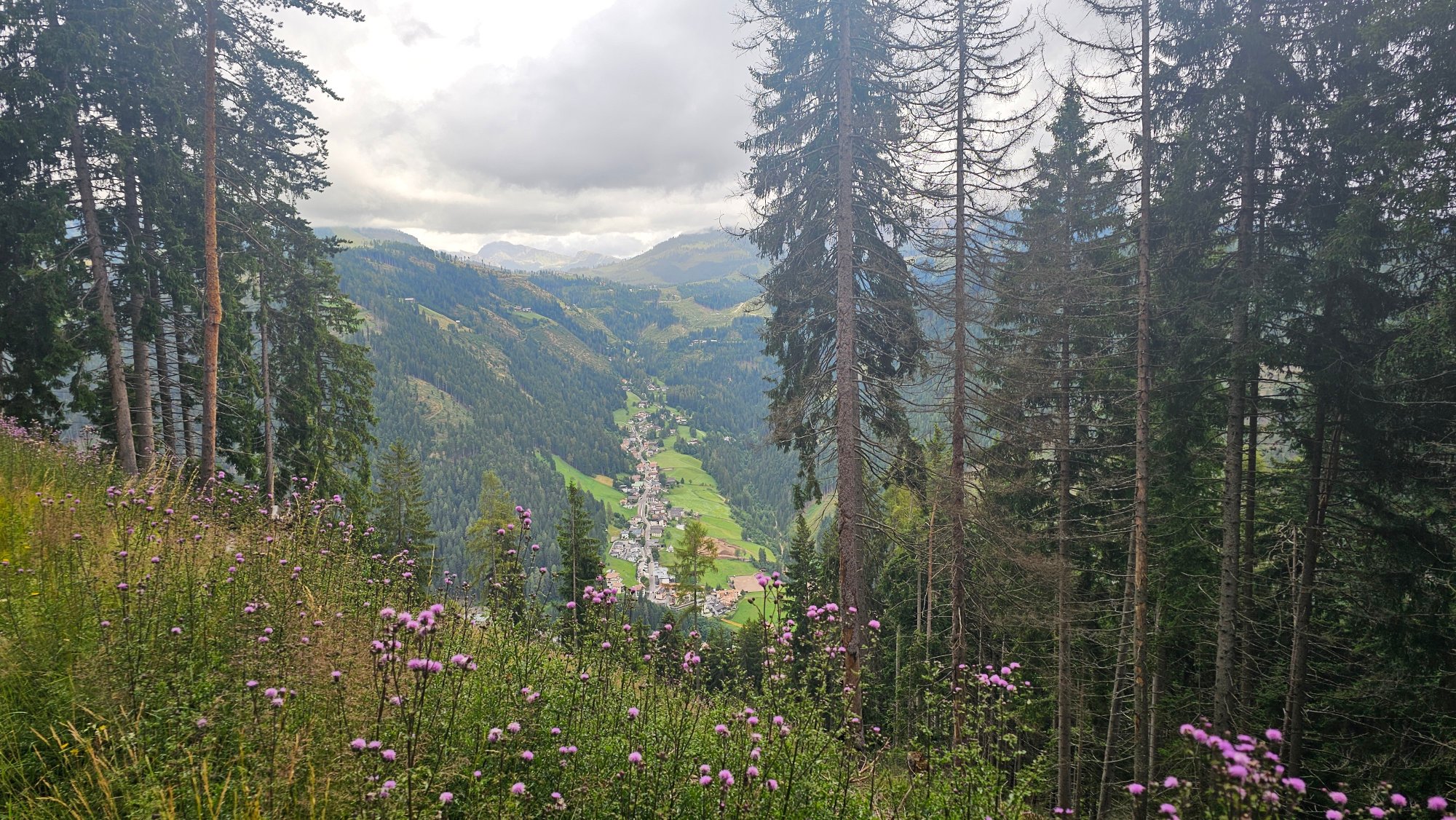 20250726_151557.jpg