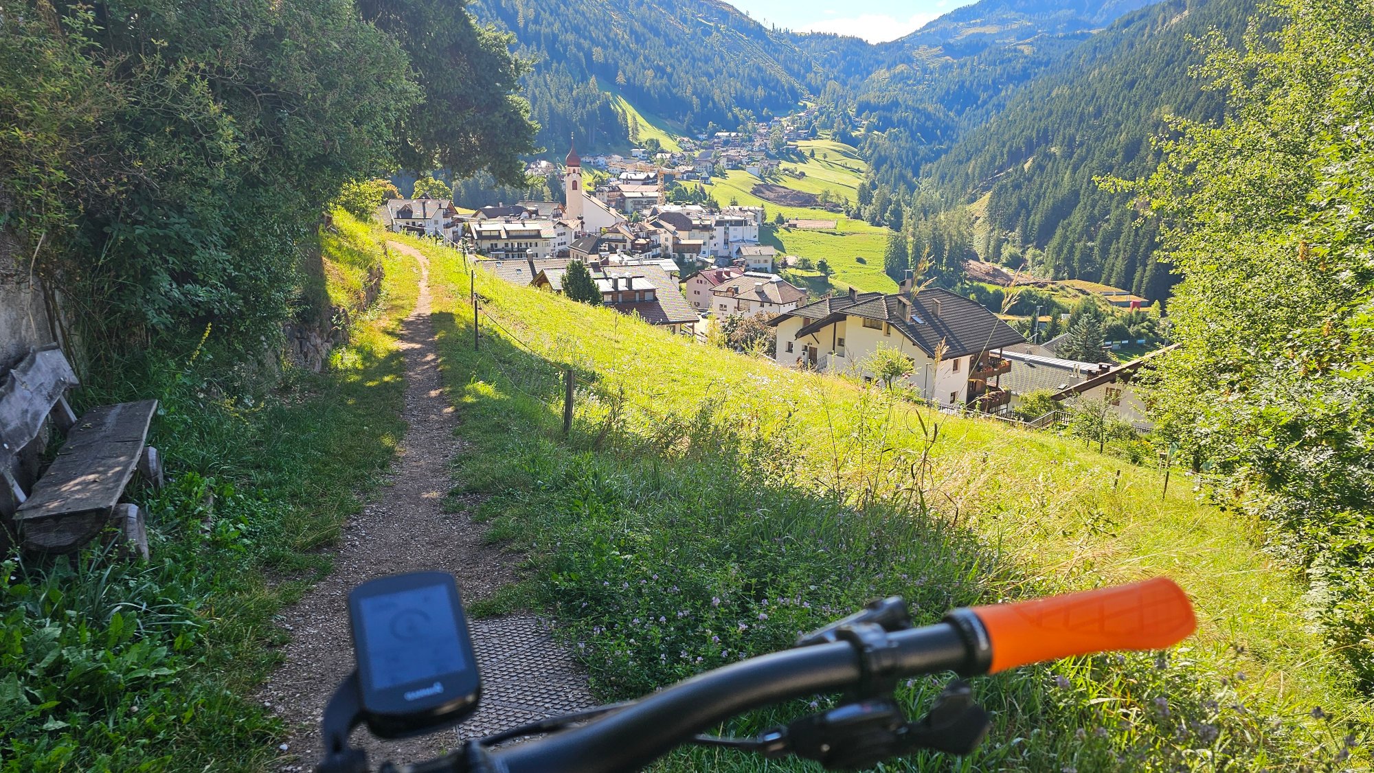 20250727_090139.jpg