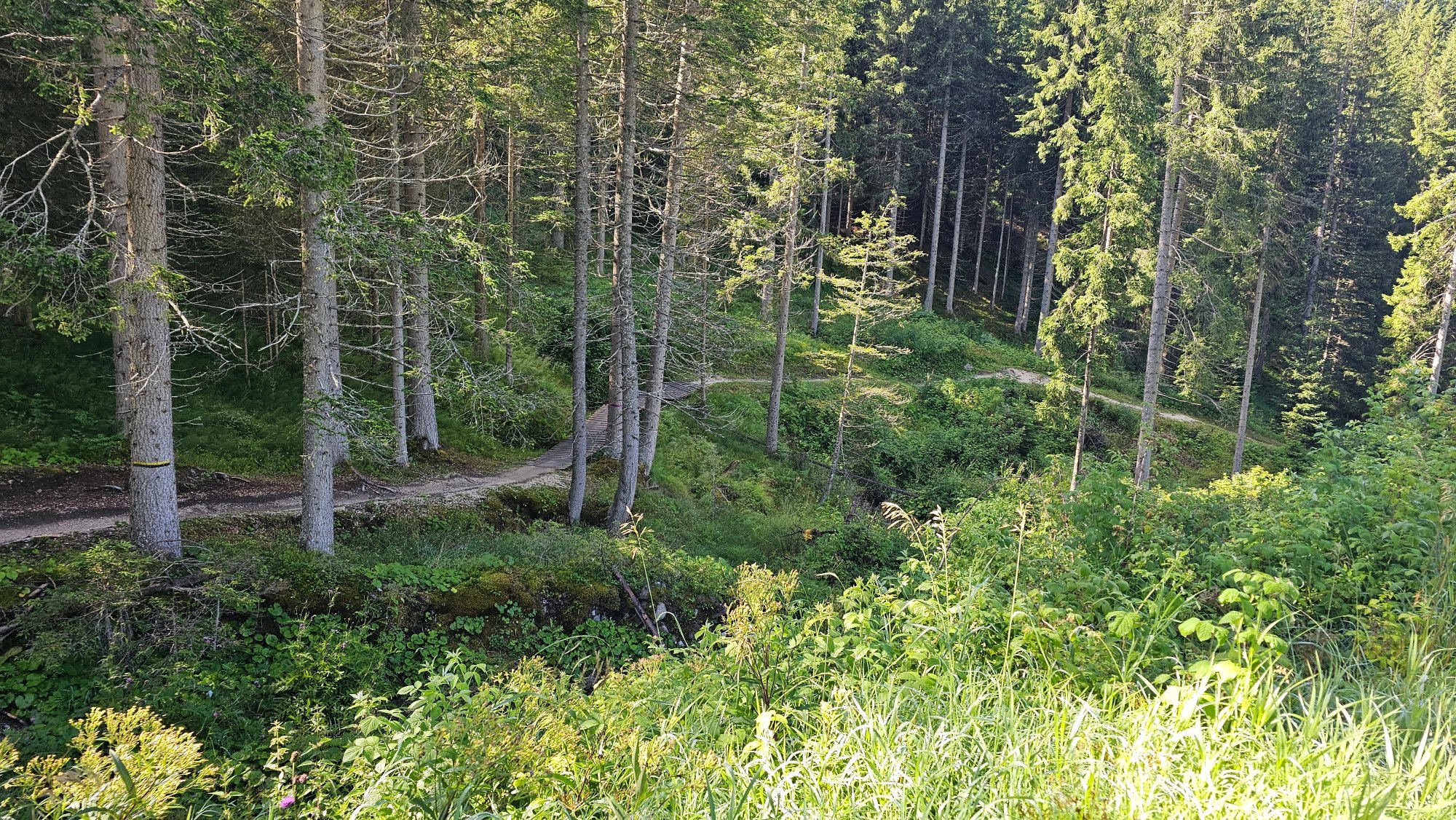 20250727_093815.jpg