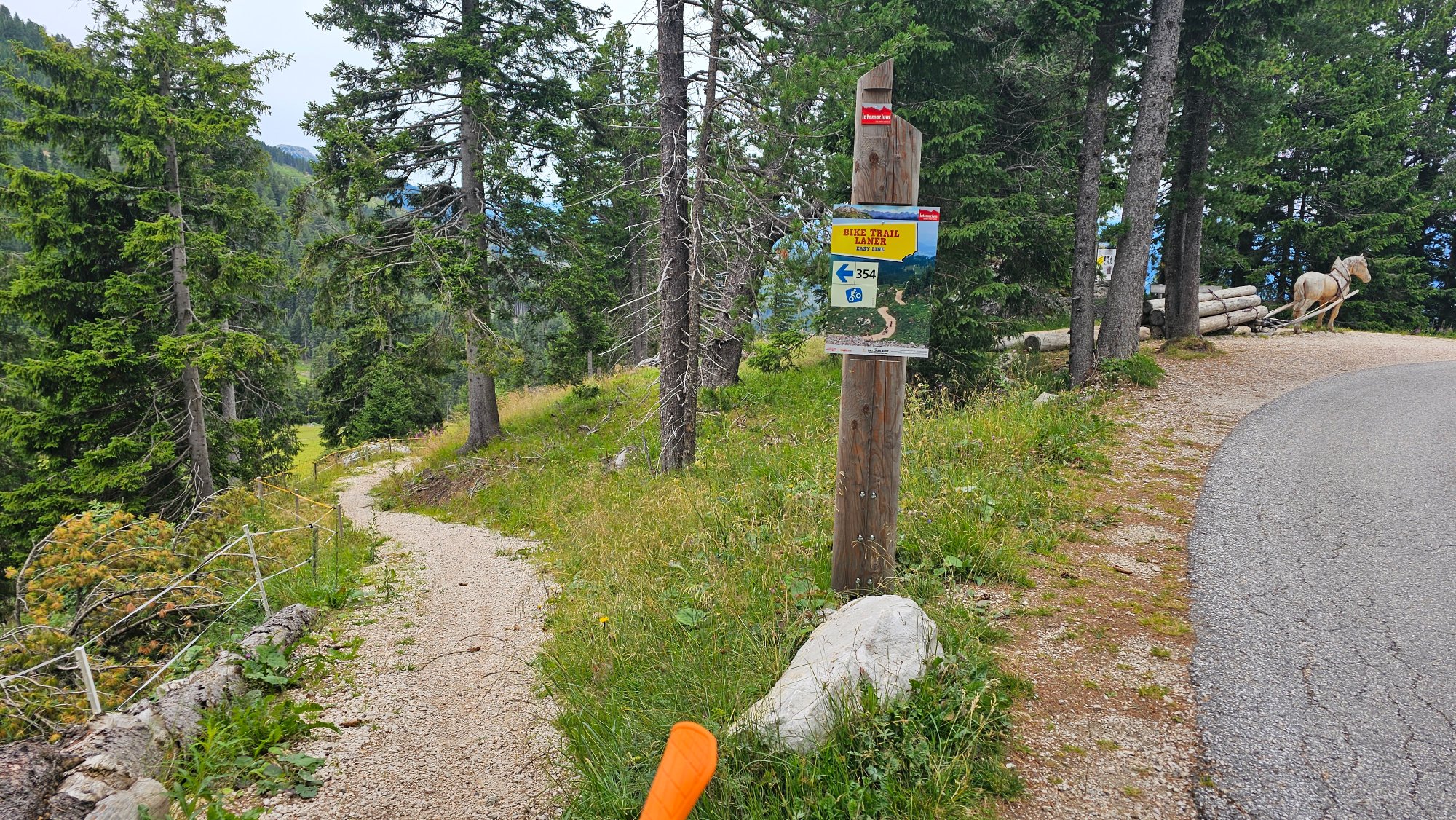 20250728_135410.jpg