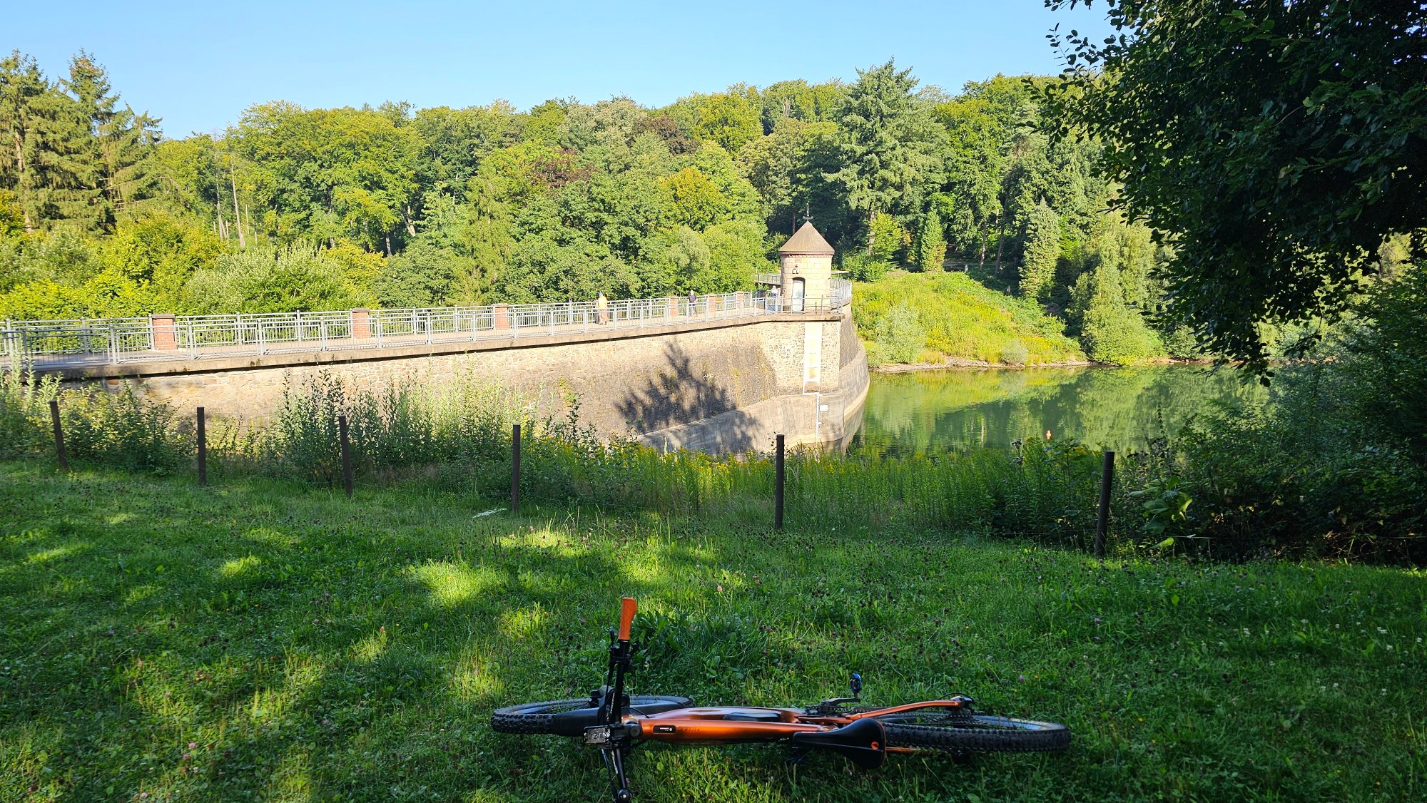 20250811_093425.jpg