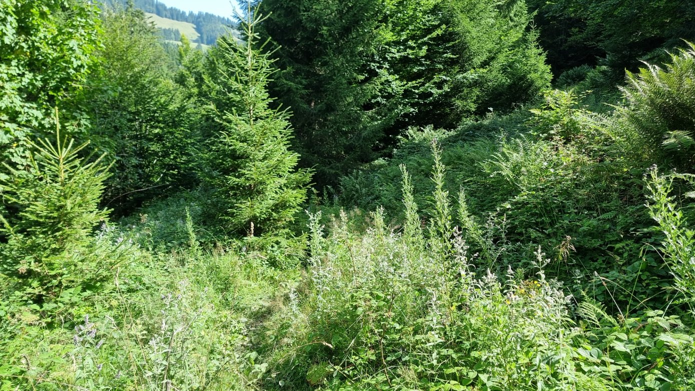 20250813_105147.jpg