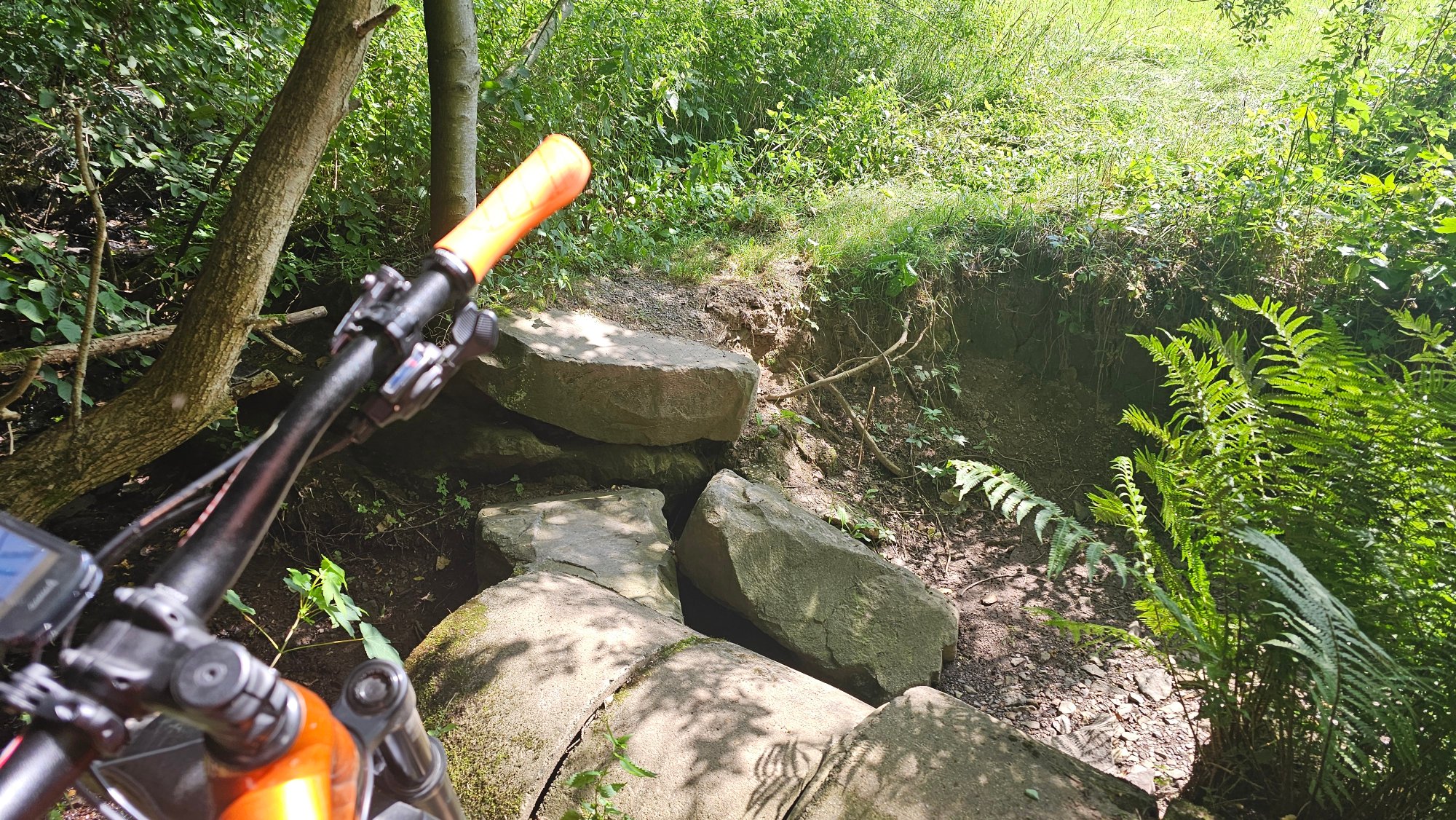 20250813_125340.jpg