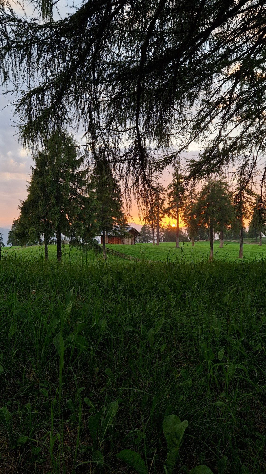 20250813_201005.jpg