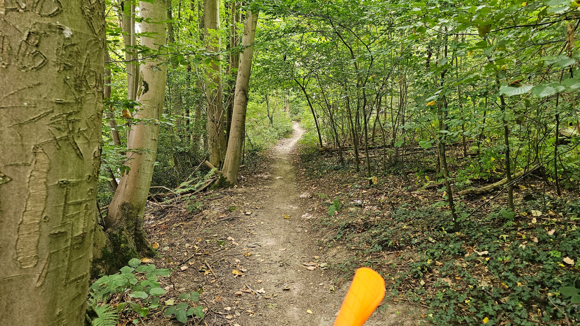 20250828_114549.jpg