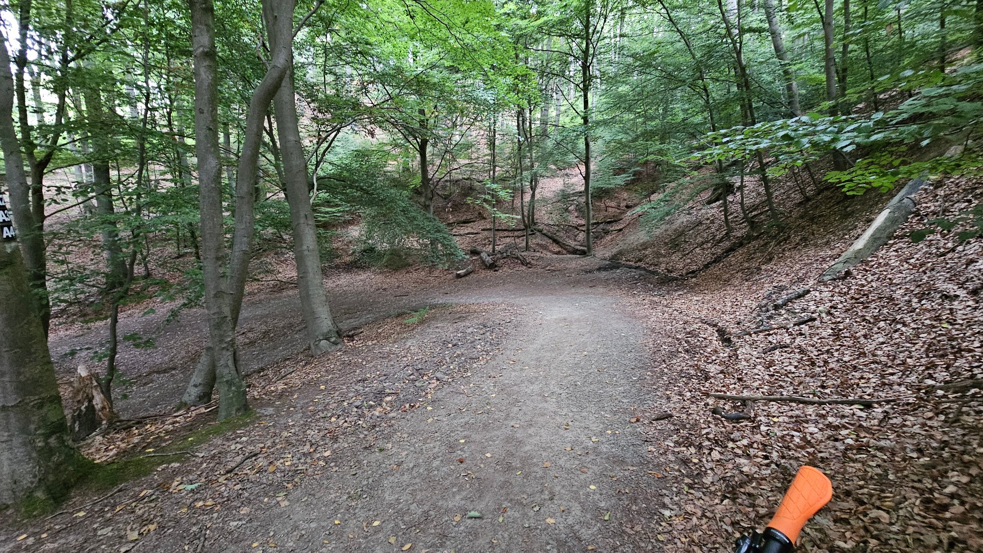 20250828_140452.jpg