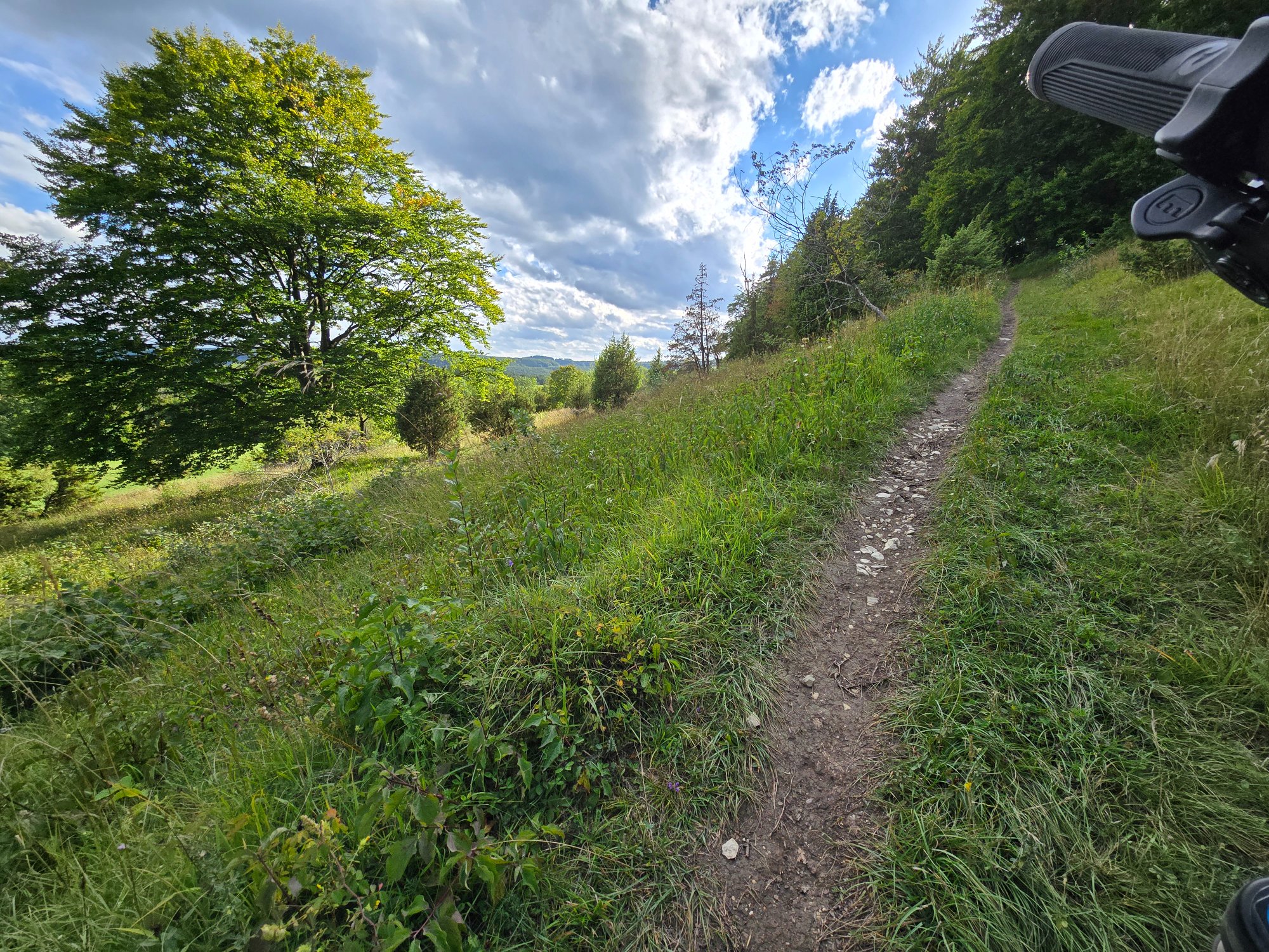 20250829_174457.jpg