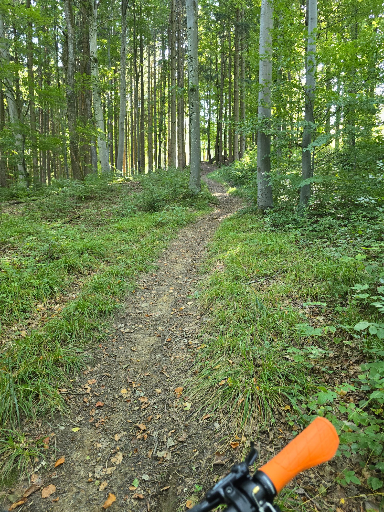 20250906_160406.jpg