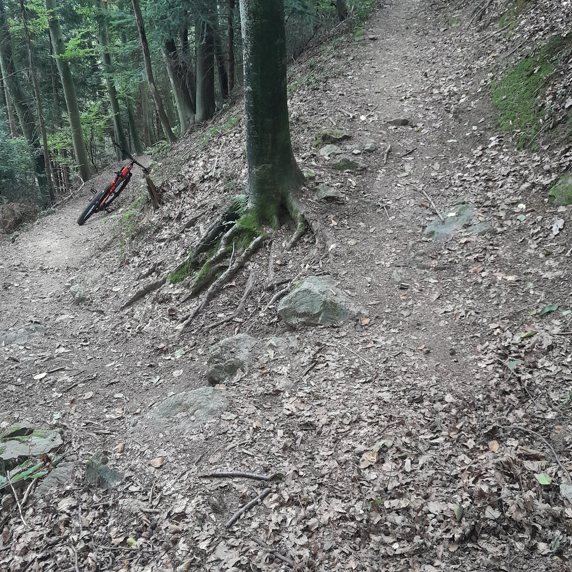 20250921_130955.jpg