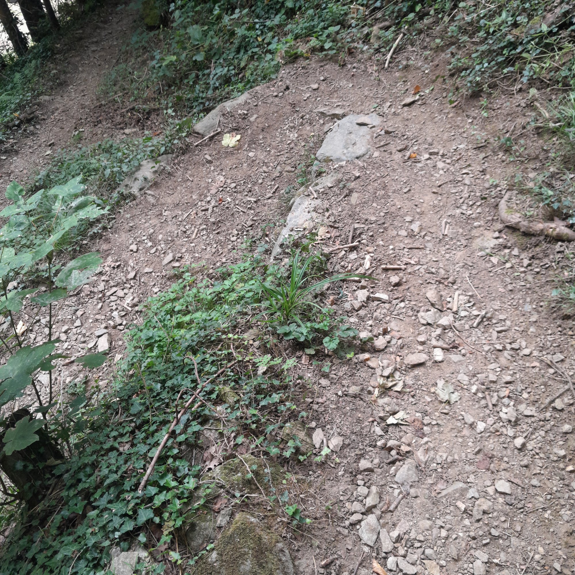 20250921_131739.jpg