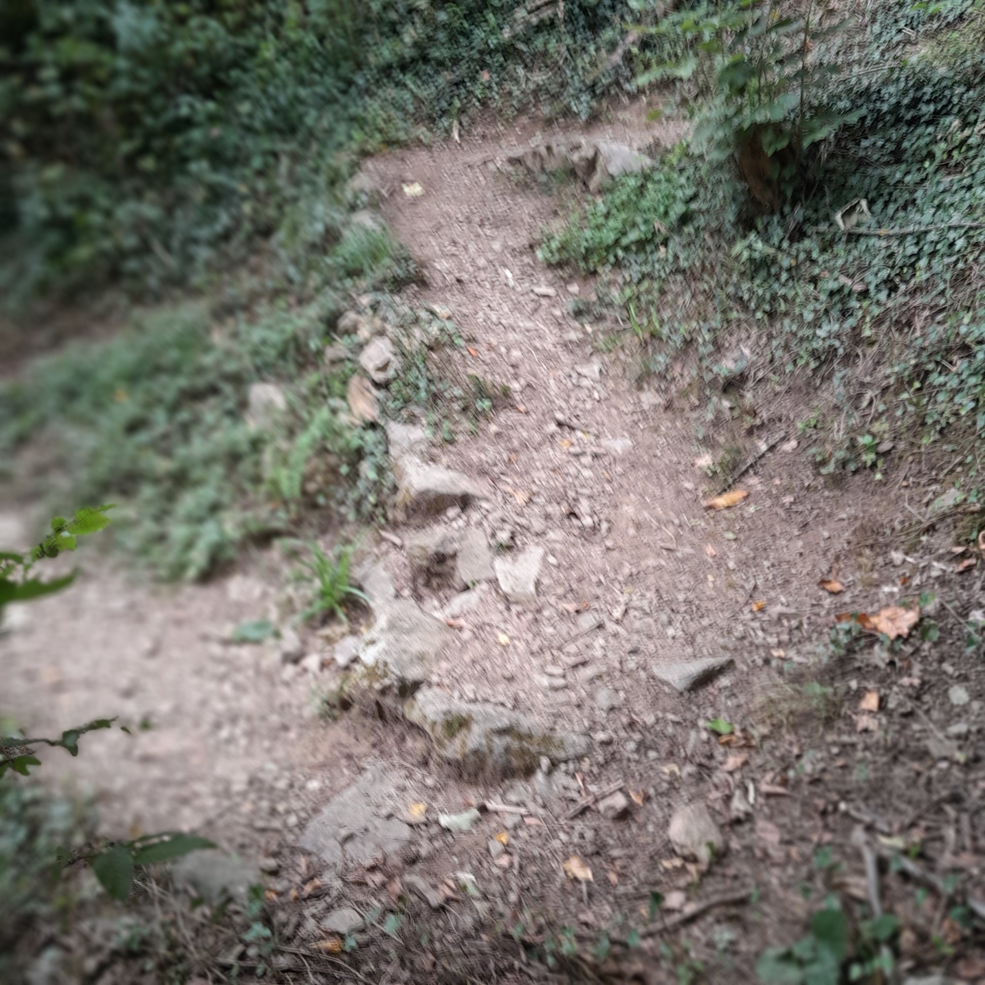 20250921_131820.jpg