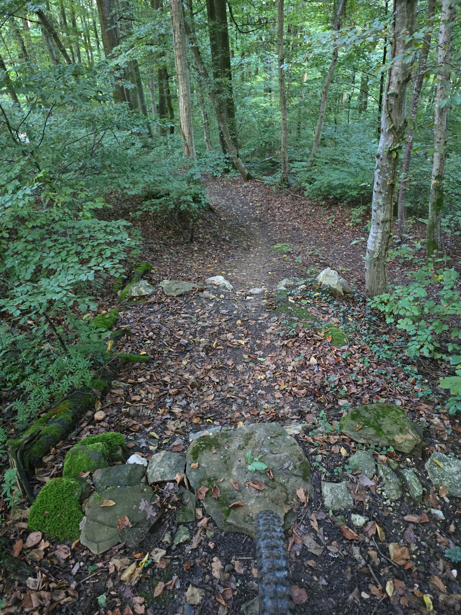 20250930_172222.jpg