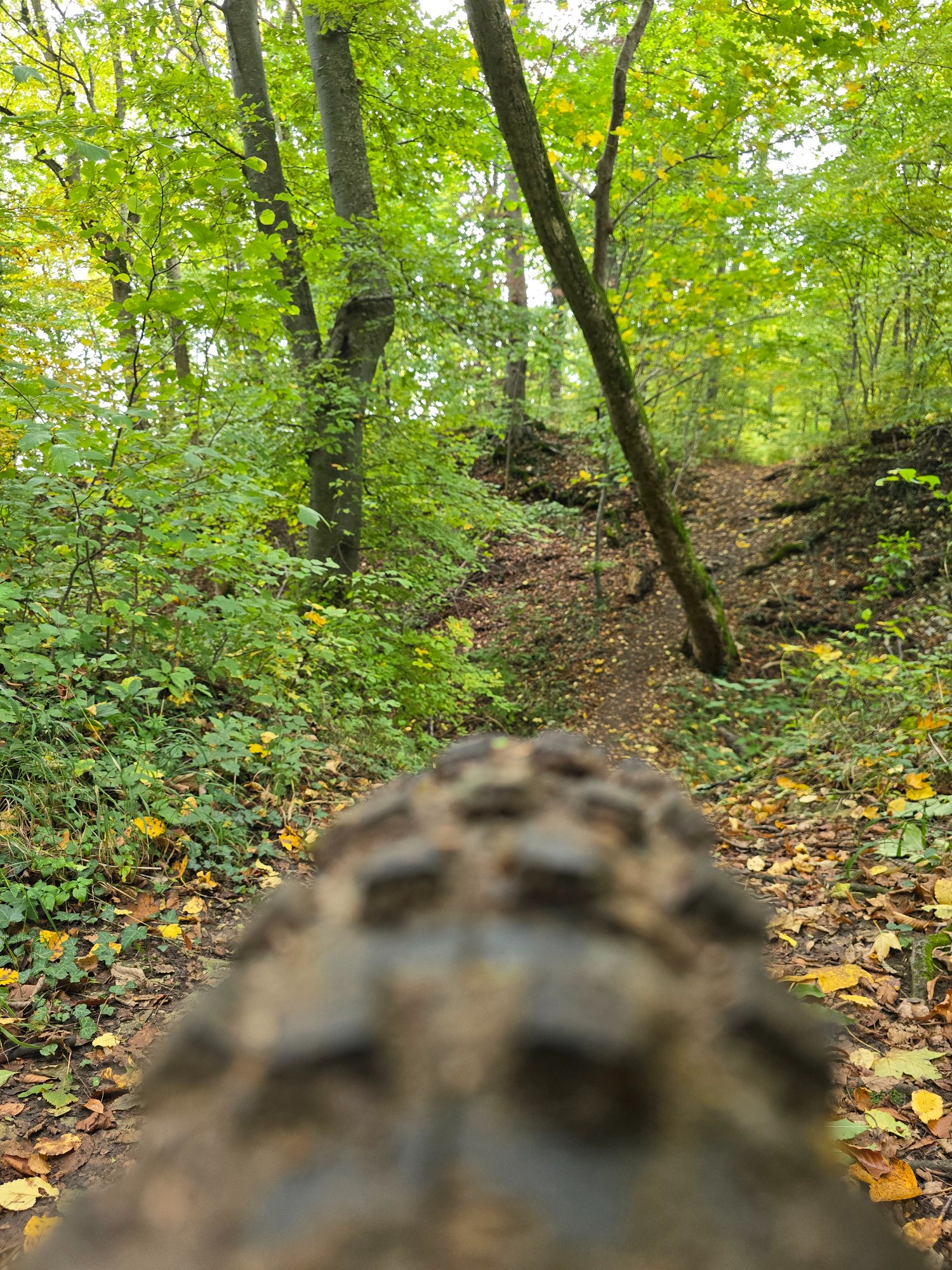 20251011_151814.jpg