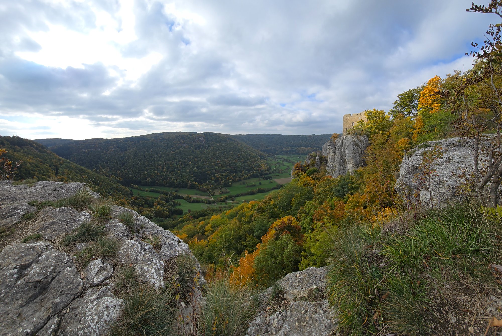 20251012_152930.jpg