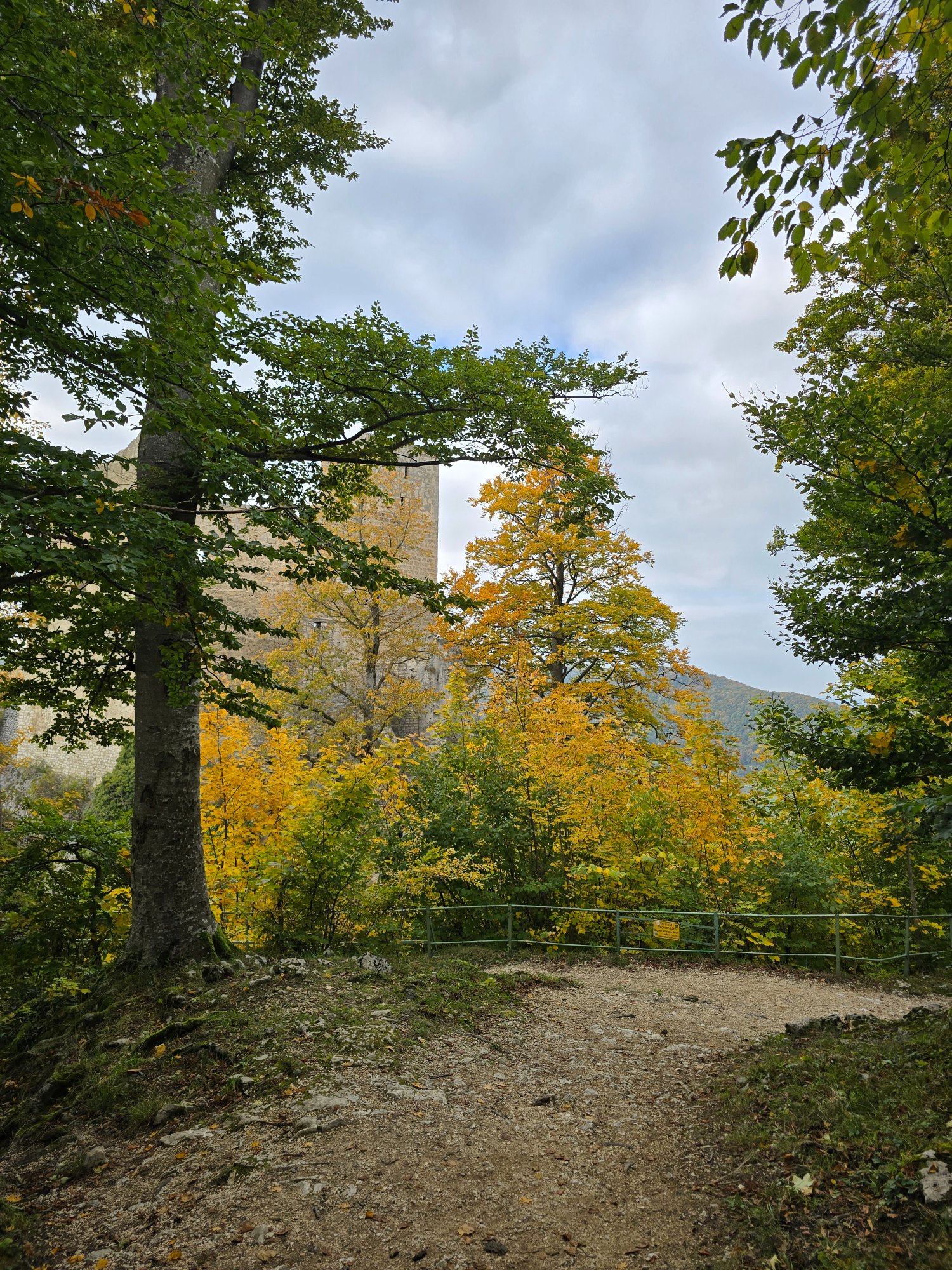 20251012_153551.jpg