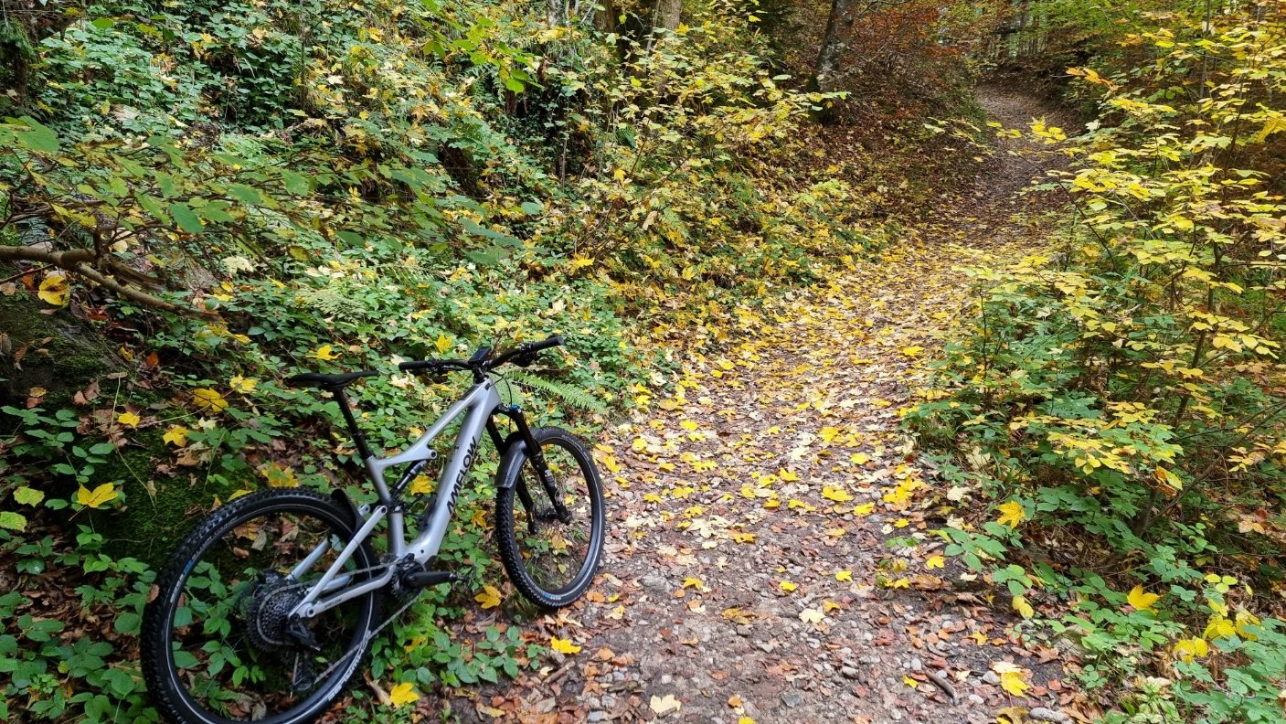 20251015_131201.jpg