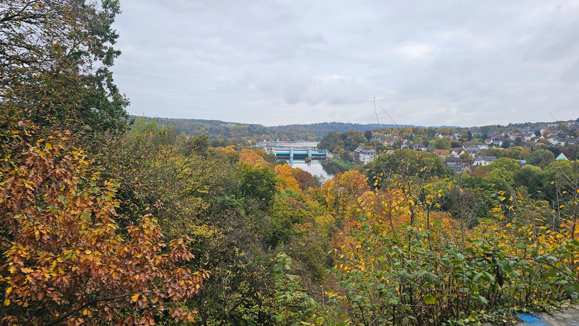 20251017_113300.jpg